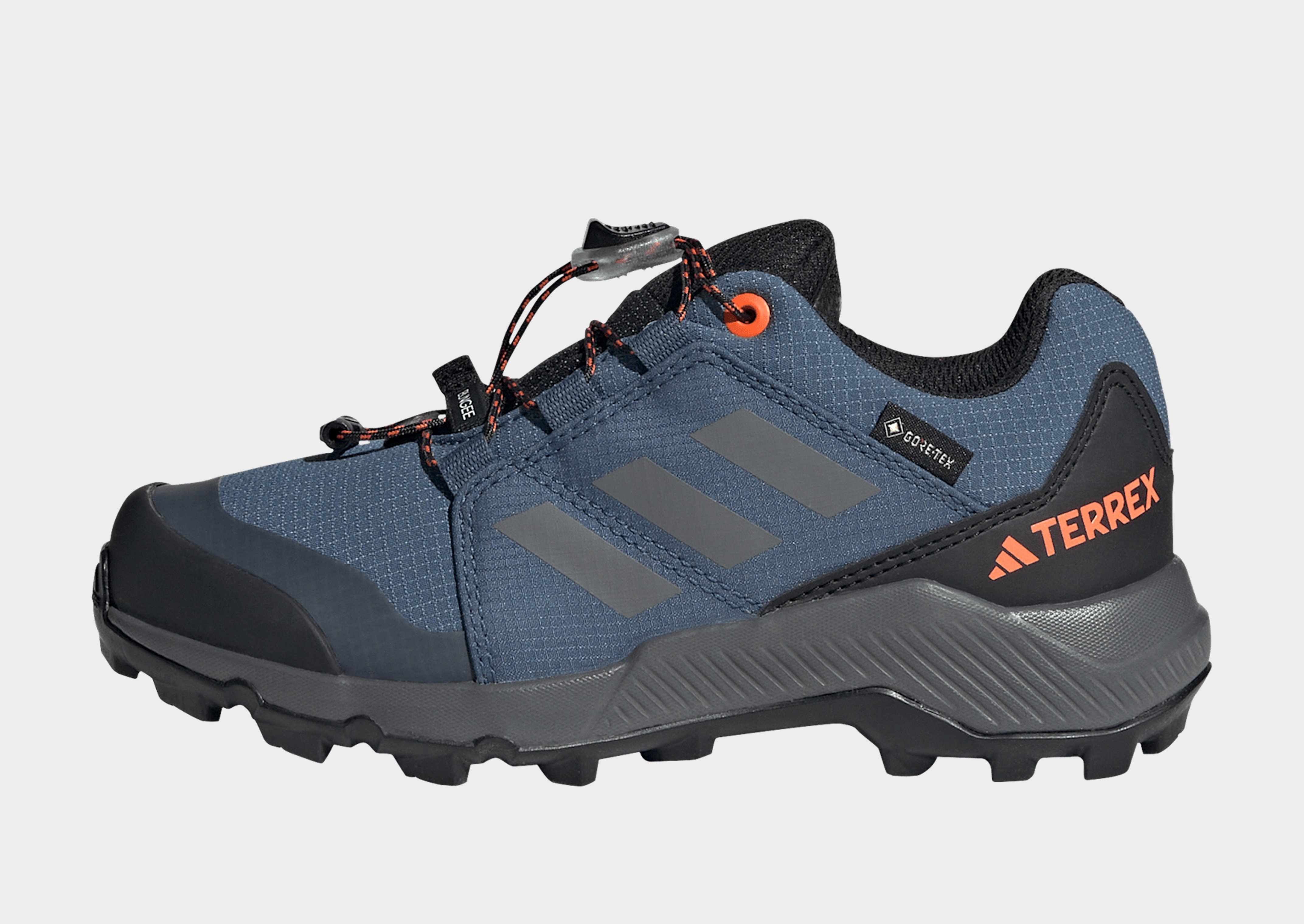 Adidas terrex sales gtx shoes