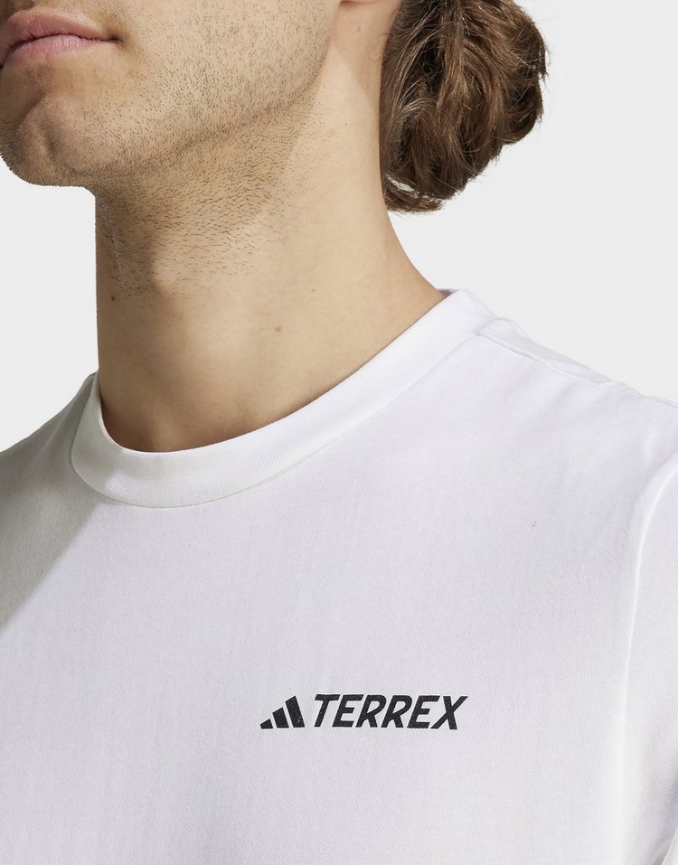 adidas Terrex Graphic MTN 2.0 Tee