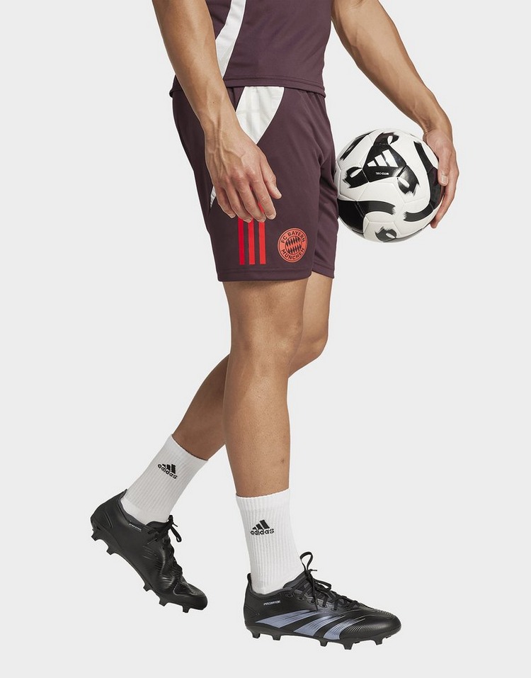 adidas FC Bayern Tiro 24 Training Shorts
