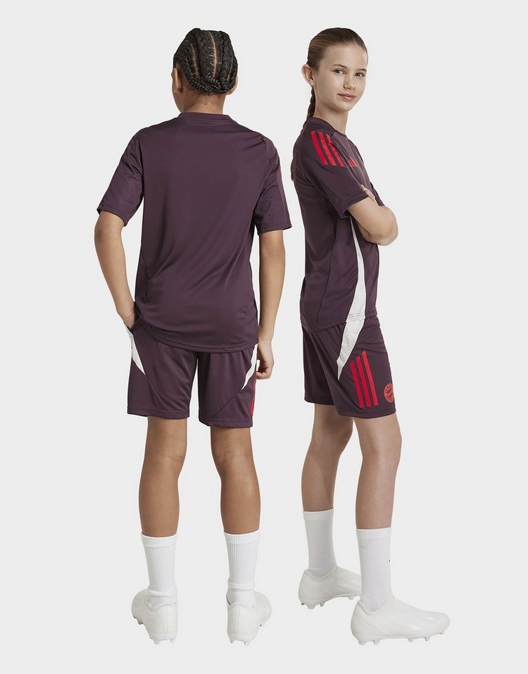 adidas FC Bayern Tiro 24 Training Shorts Kids
