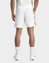 adidas DFB DNA Shorts