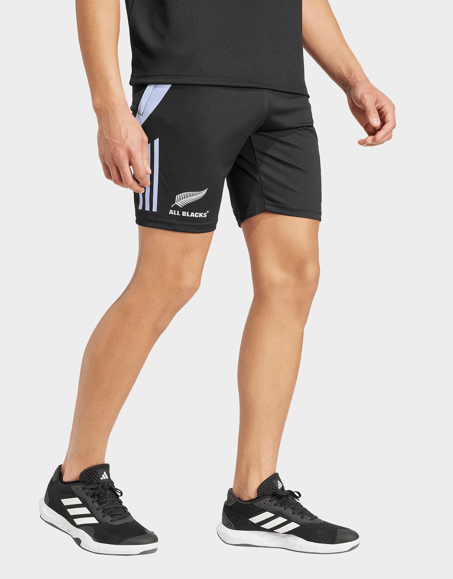 adidas All Blacks Rugby Shorts JD Sports UK