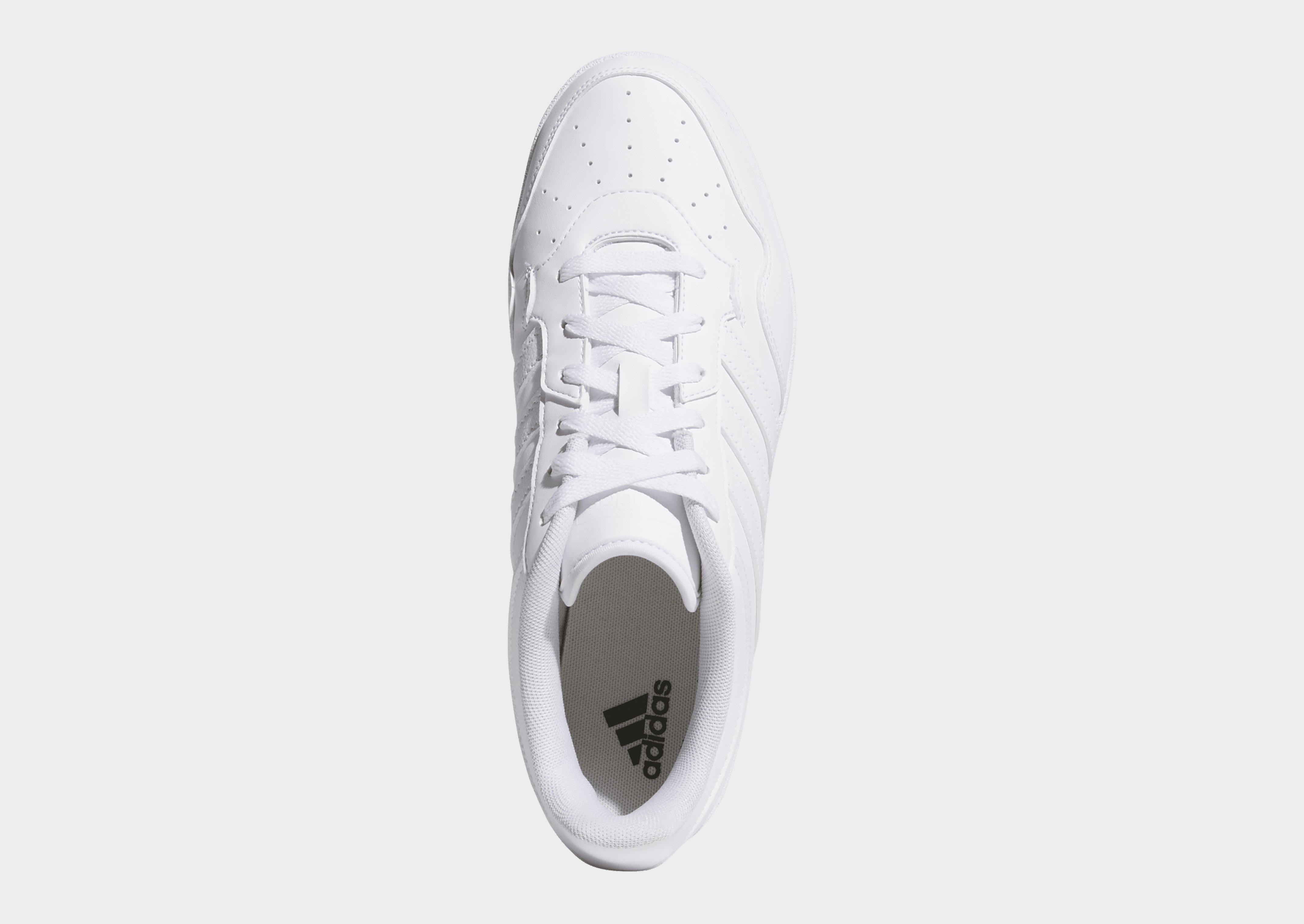 adidas Chaussure Hoops 4.0