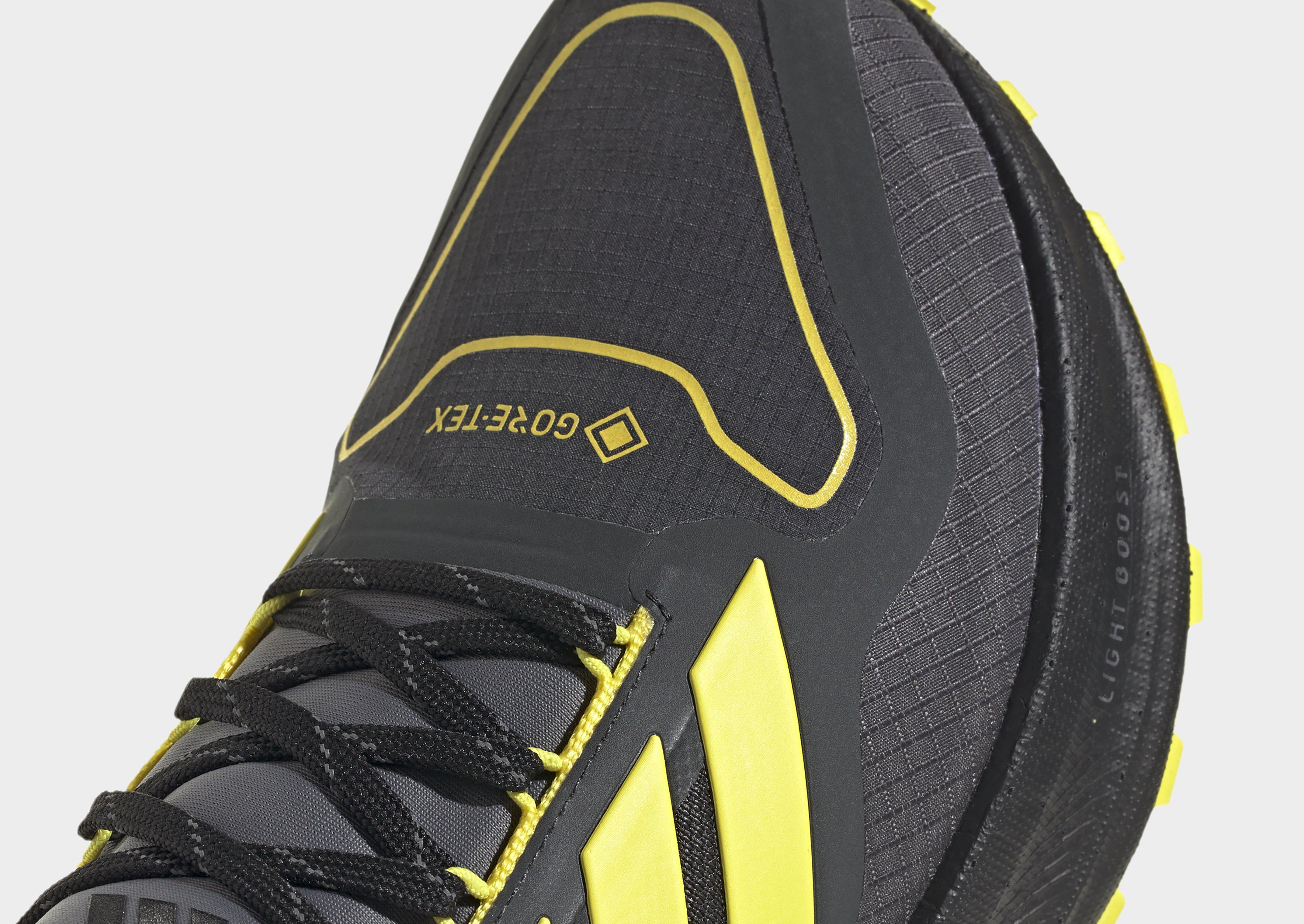 adidas Ultraboost 5 GTX