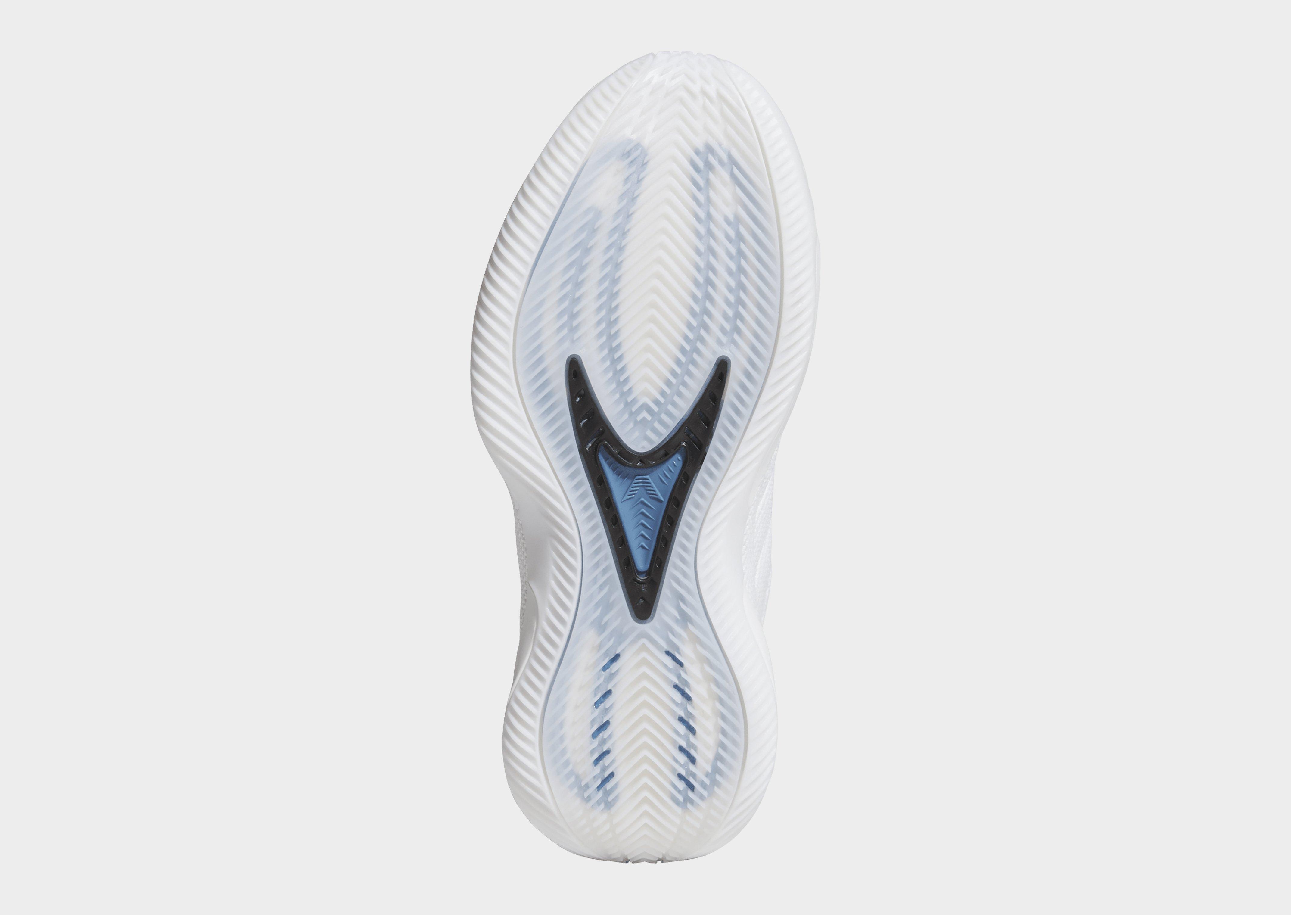 adidas ANTHONY EDWARDS 2 J Schoenen