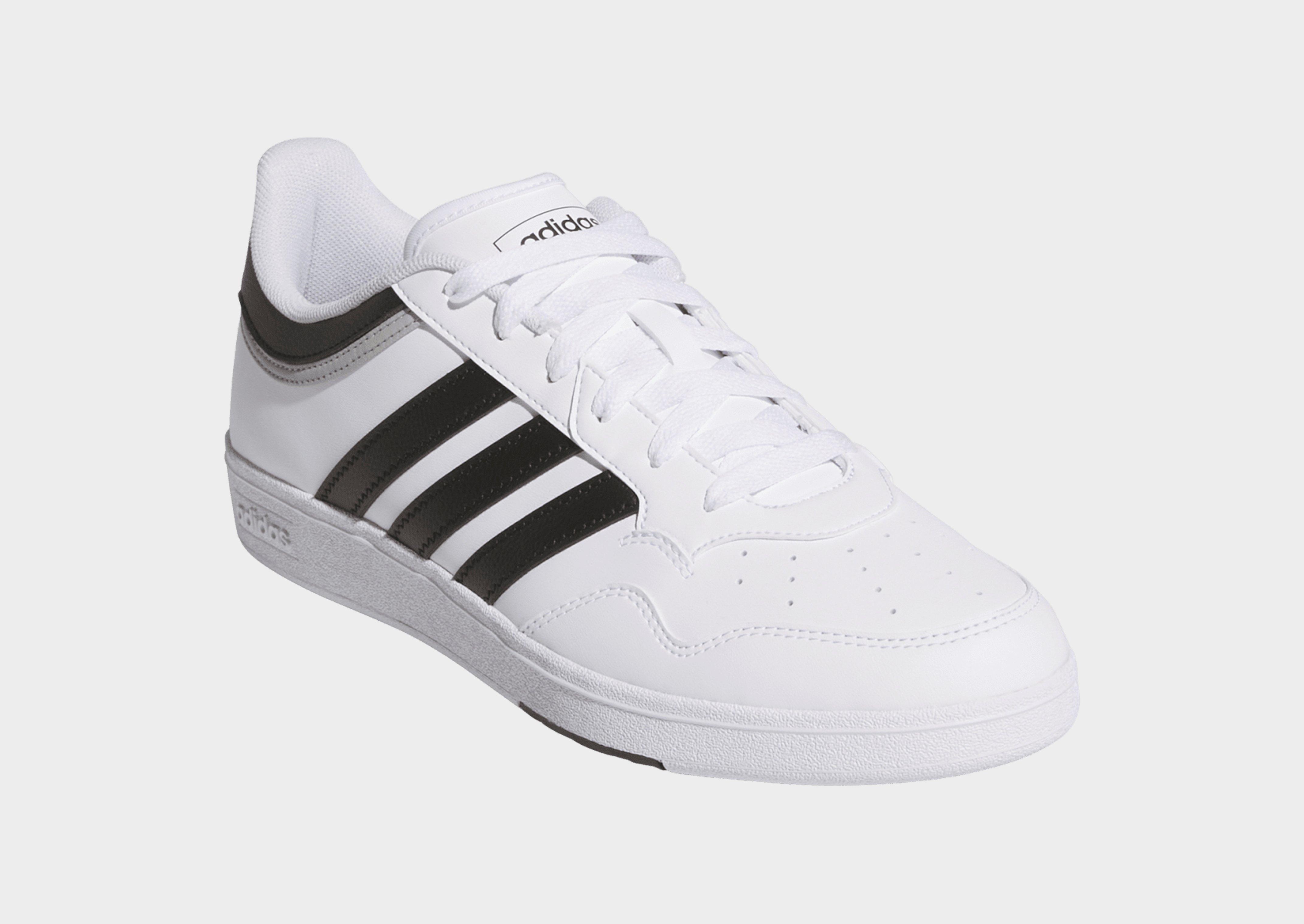 adidas Zapatilla Hoops 4.0
