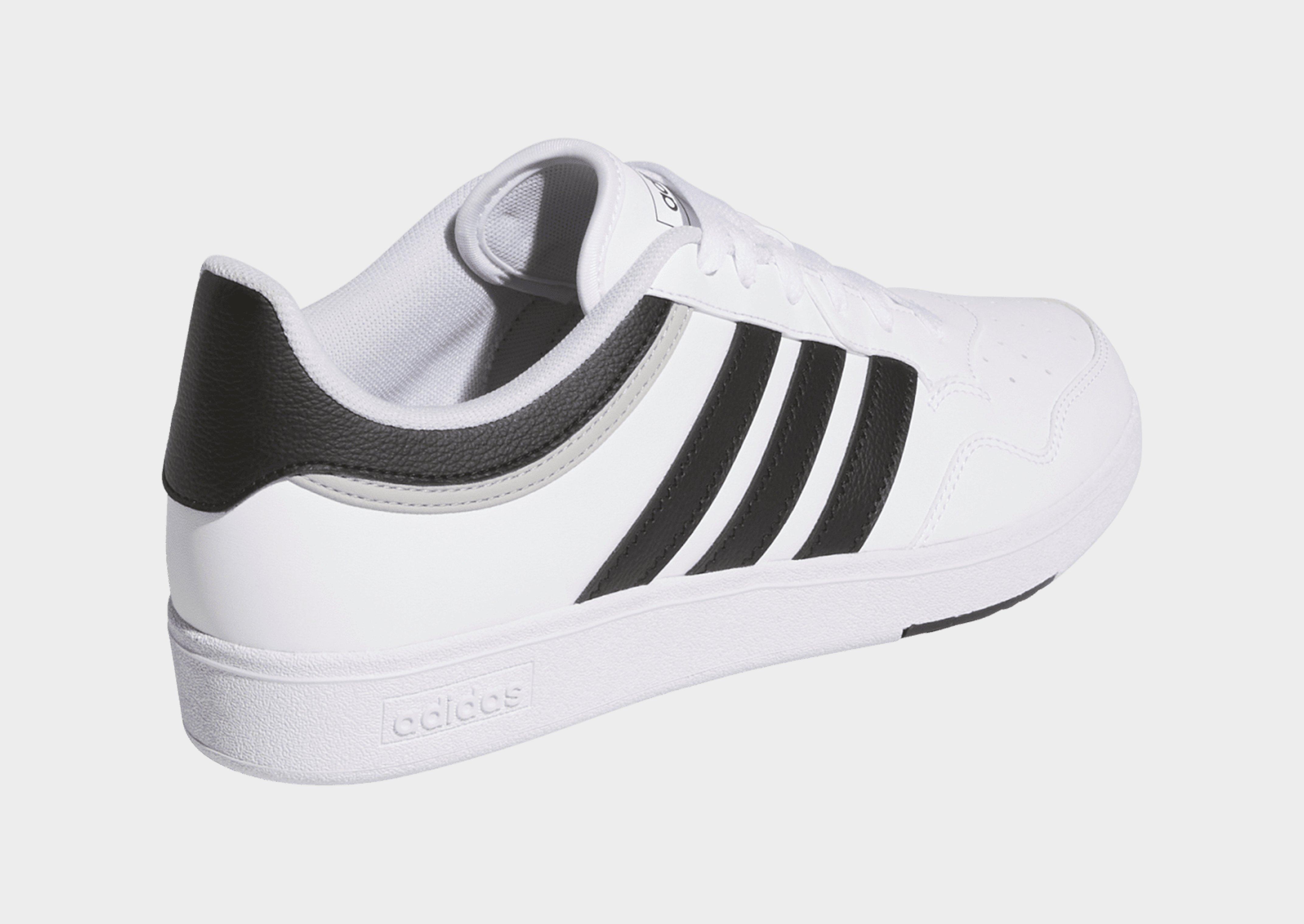 adidas Zapatilla Hoops 4.0