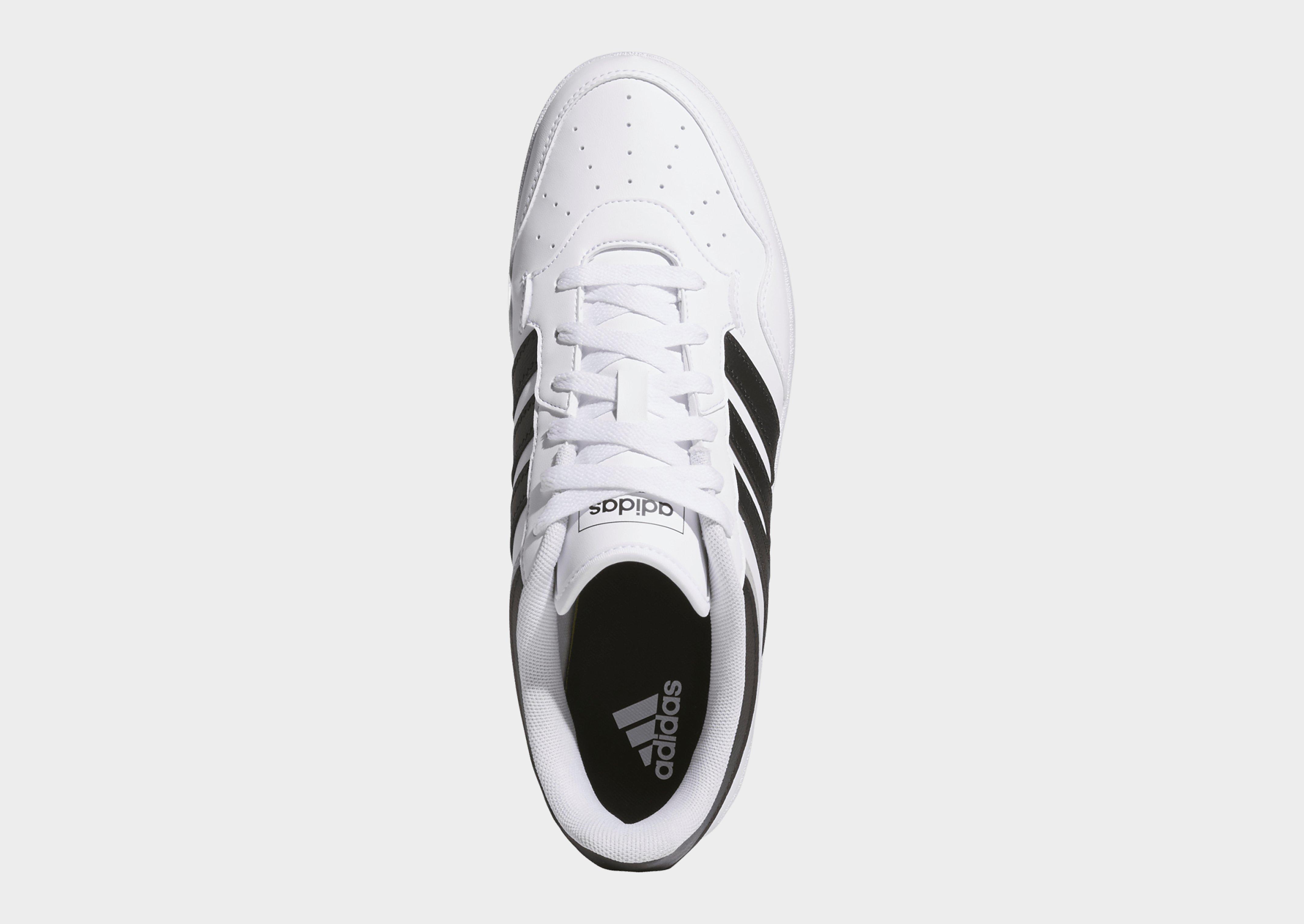 adidas Zapatilla Hoops 4.0