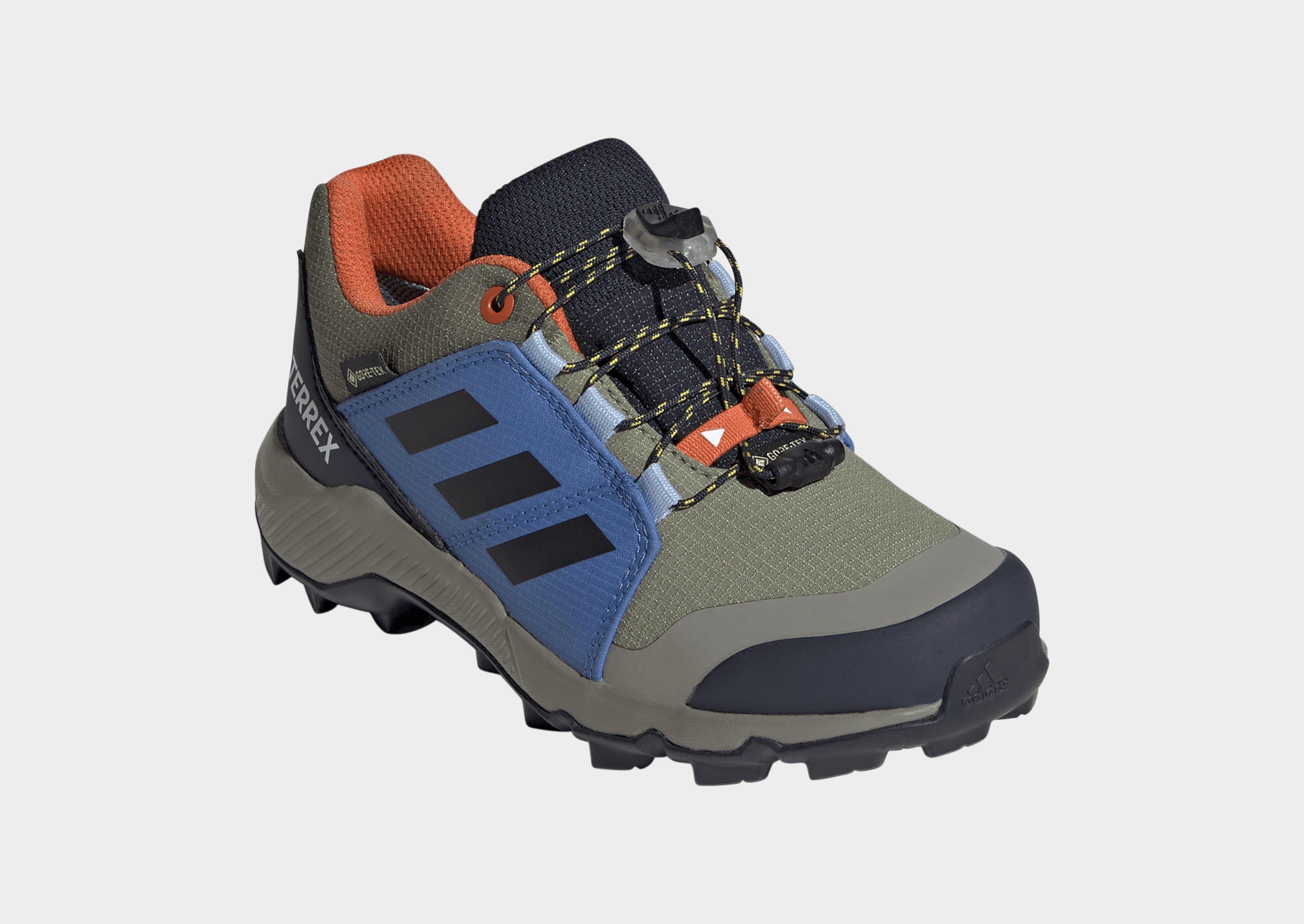 adidas Terrex GORE-TEX Hiking Schoenen