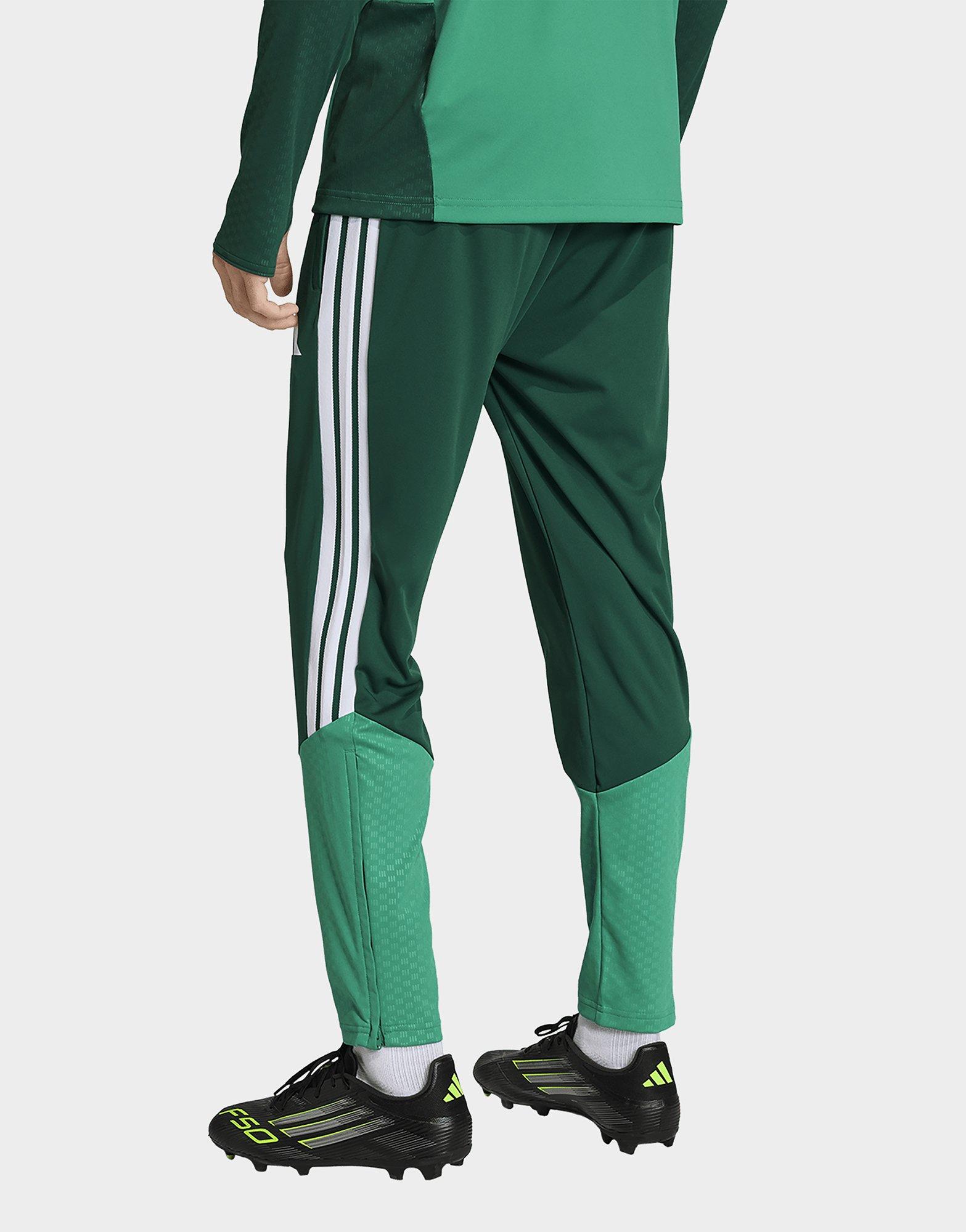 adidas Algeria 26 Trainingsbroek