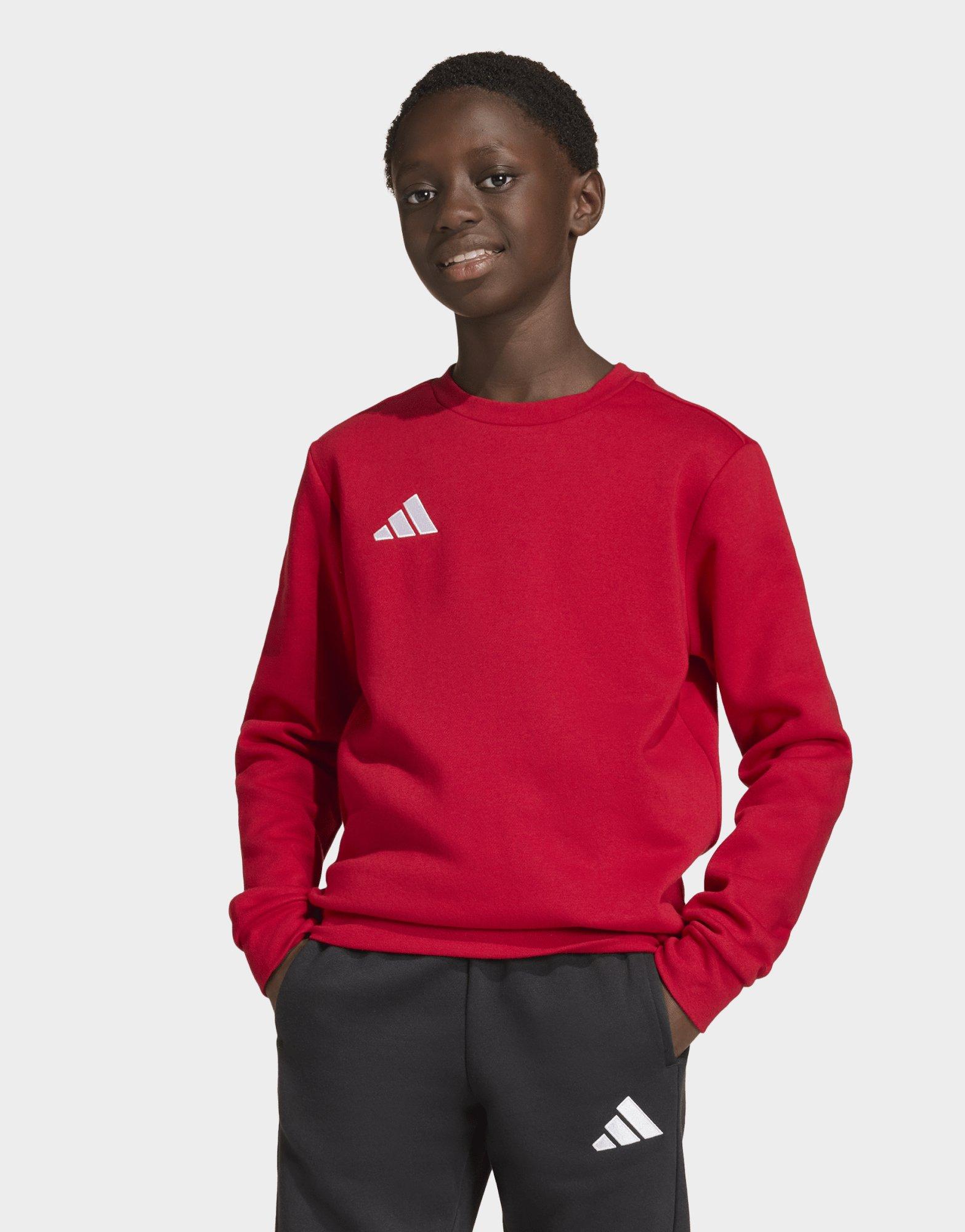 adidas Felpa Entrada26 Kids