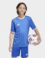 adidas Entrada26 Graphic Jersey Kids