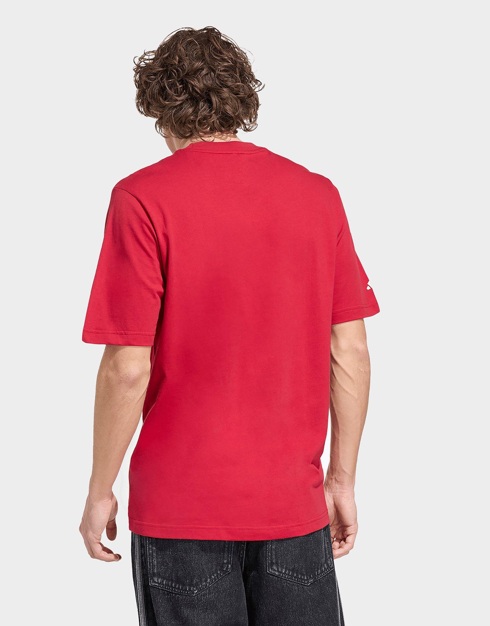 adidas Liverpool FC Seasonal Graphic T-Shirt