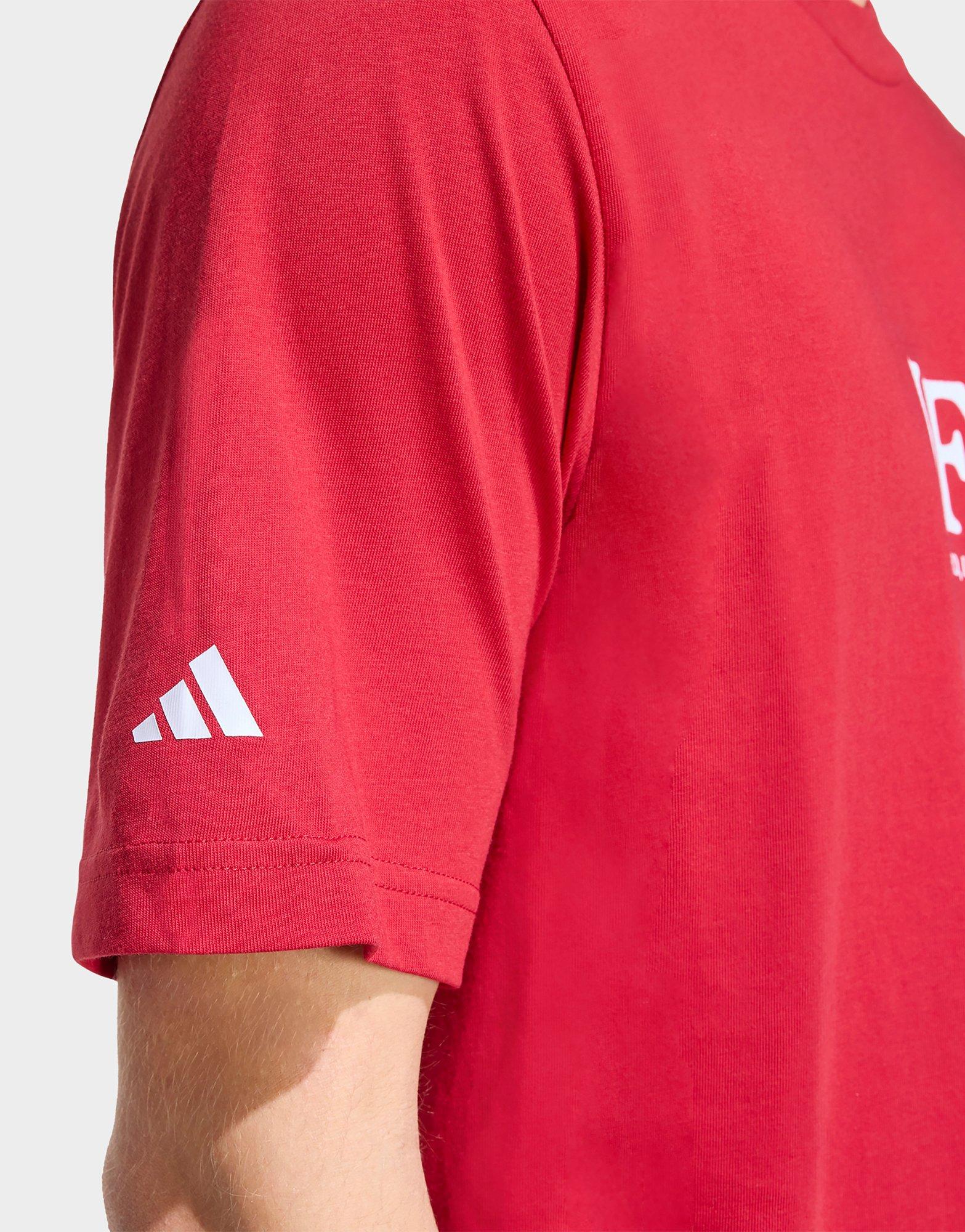 adidas Liverpool FC Seasonal Graphic T-Shirt