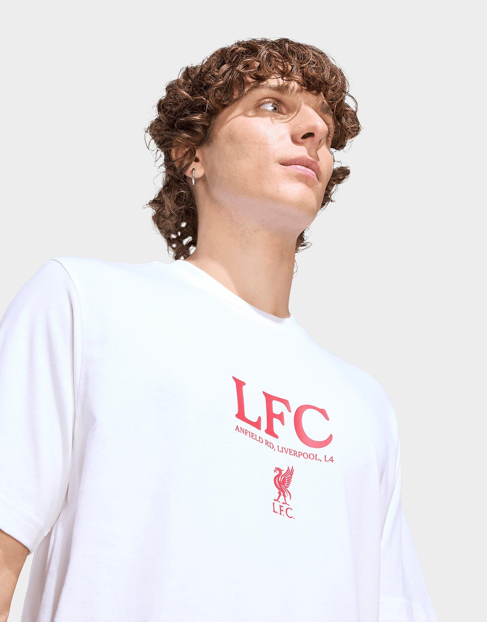 adidas Liverpool FC Seasonal Graphic T-Shirt