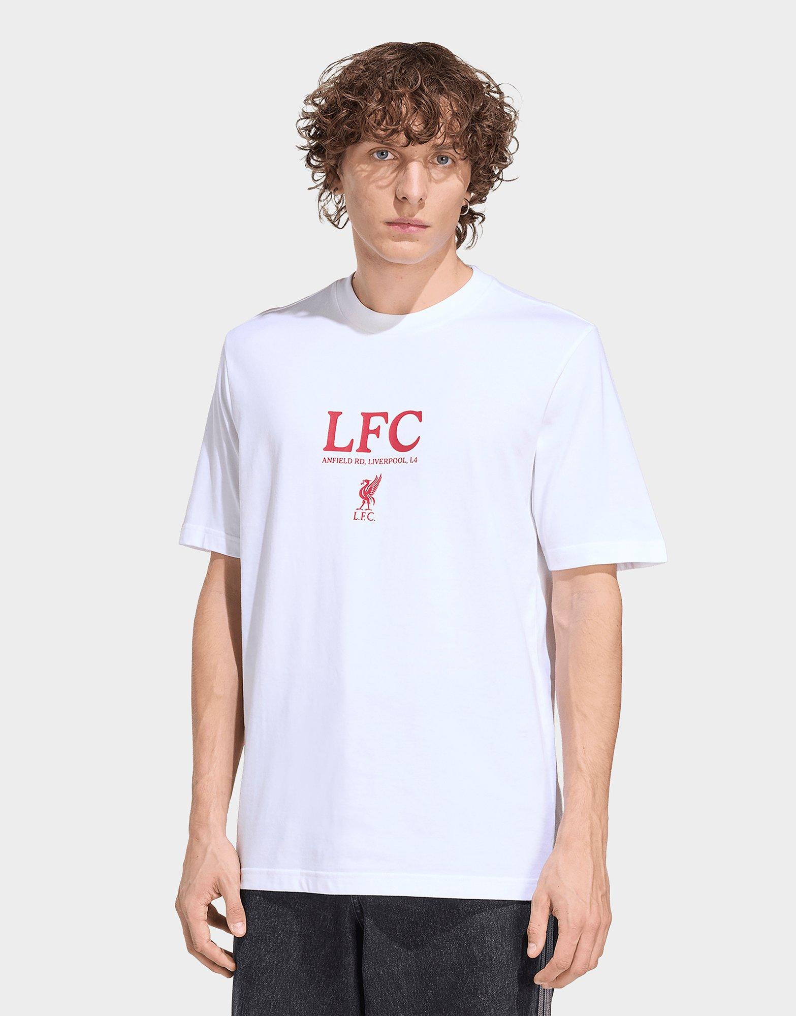 adidas Liverpool Fc Seasonal Graphic Tee