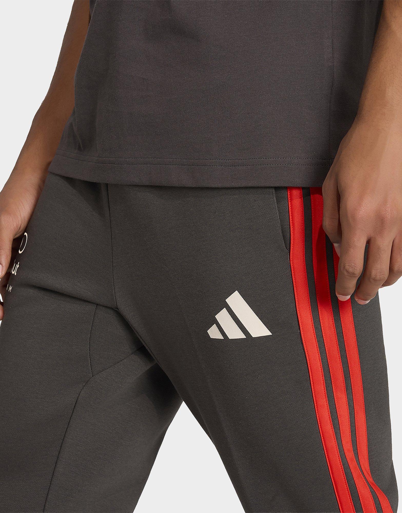 adidas PANTALÓN AUDI FORMULA ONE TEAM DNA