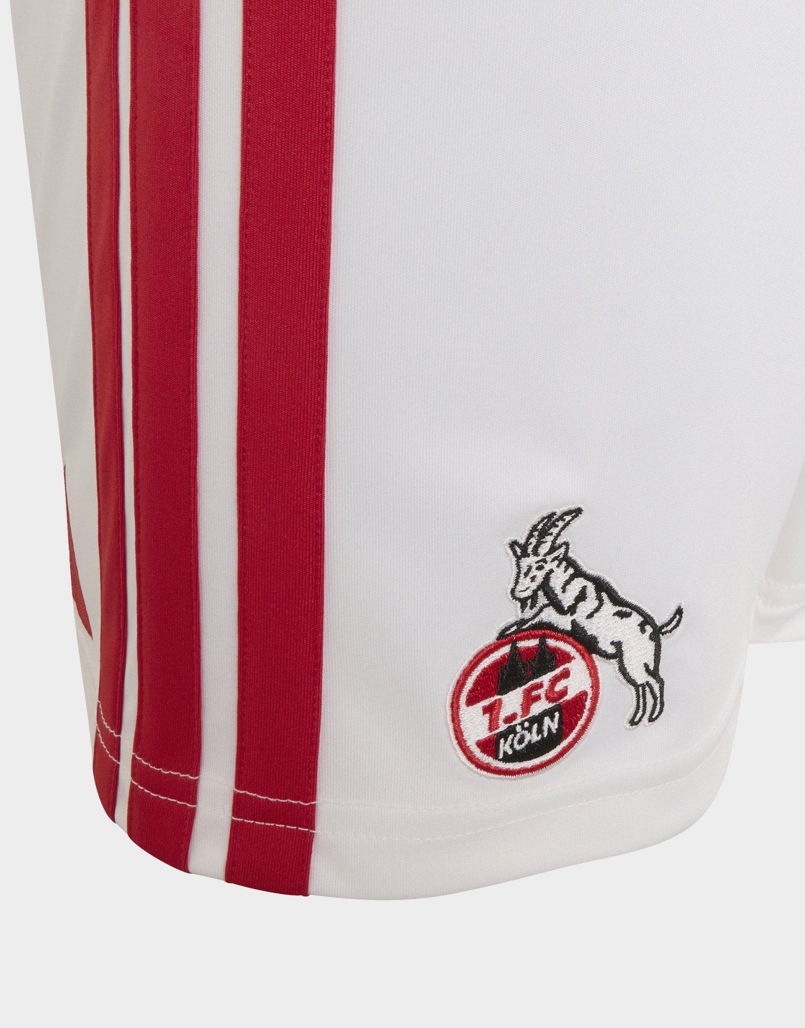 adidas Pantalón Corto Primera Equipación 1. Fc Koeln 26/27