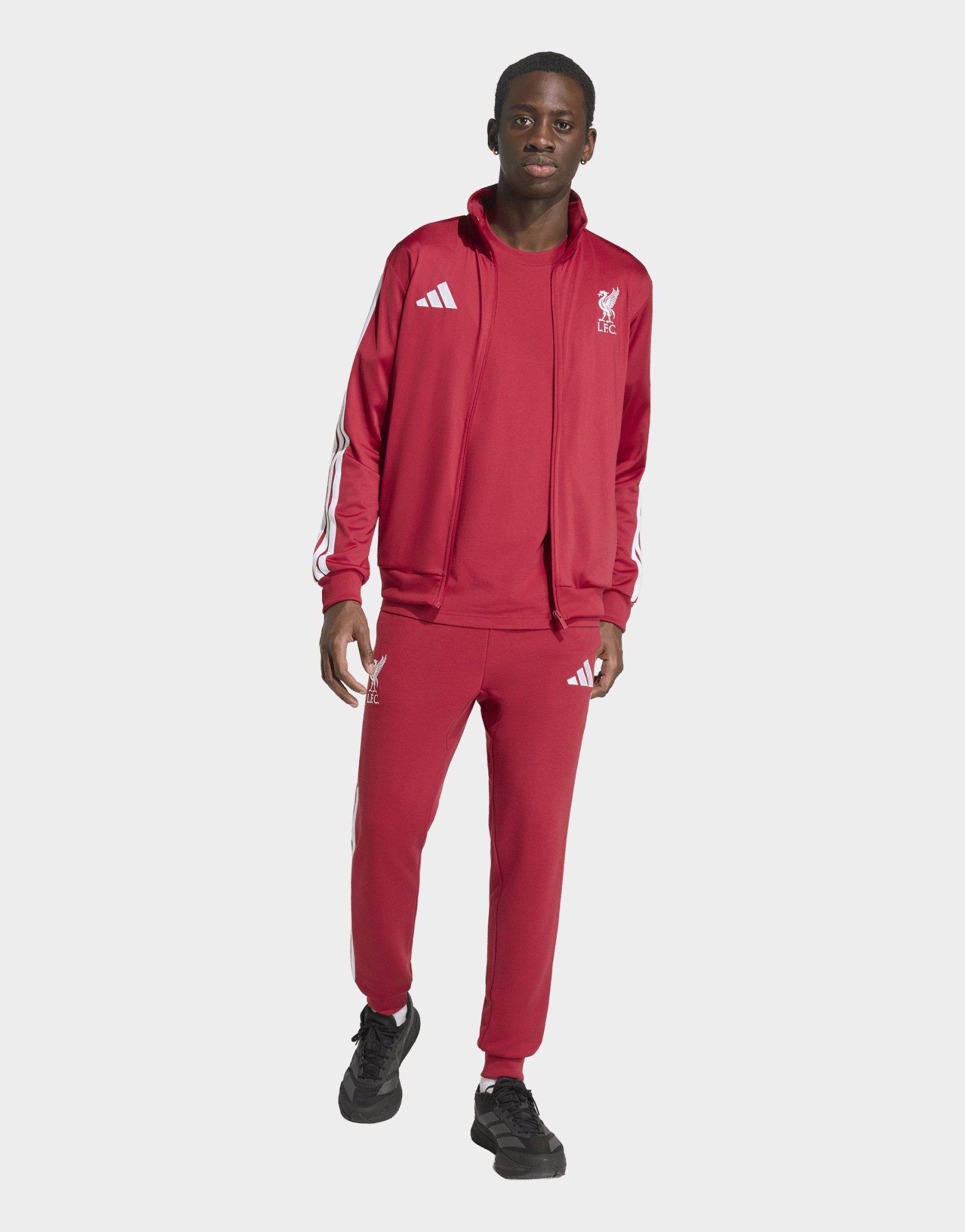 adidas Veste De Survêtement Liverpool Fc Dna