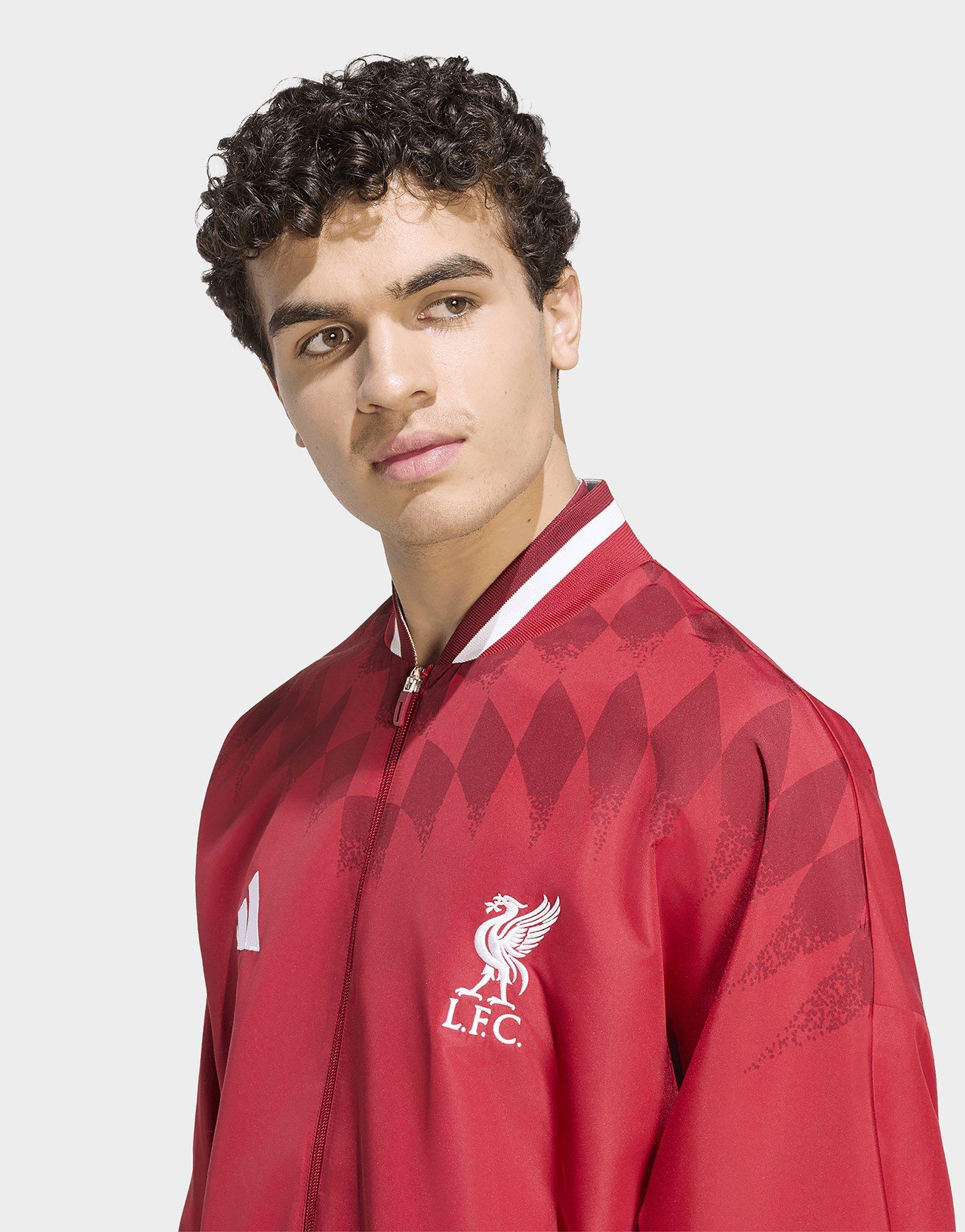 adidas Fc Liverpool Stadium Trainingsjacke