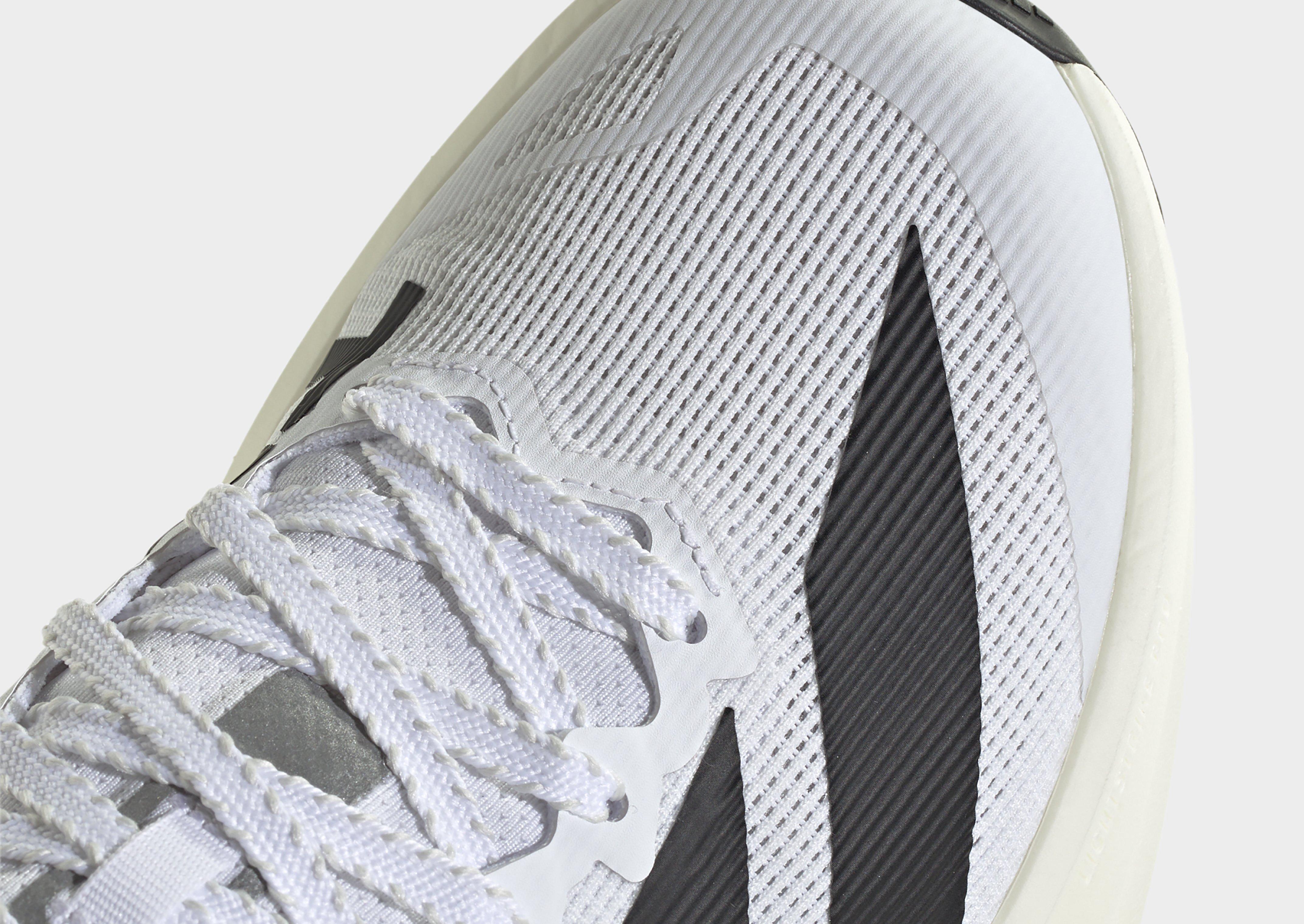 adidas Terrex Agravic SL Trailrunning-Schuh