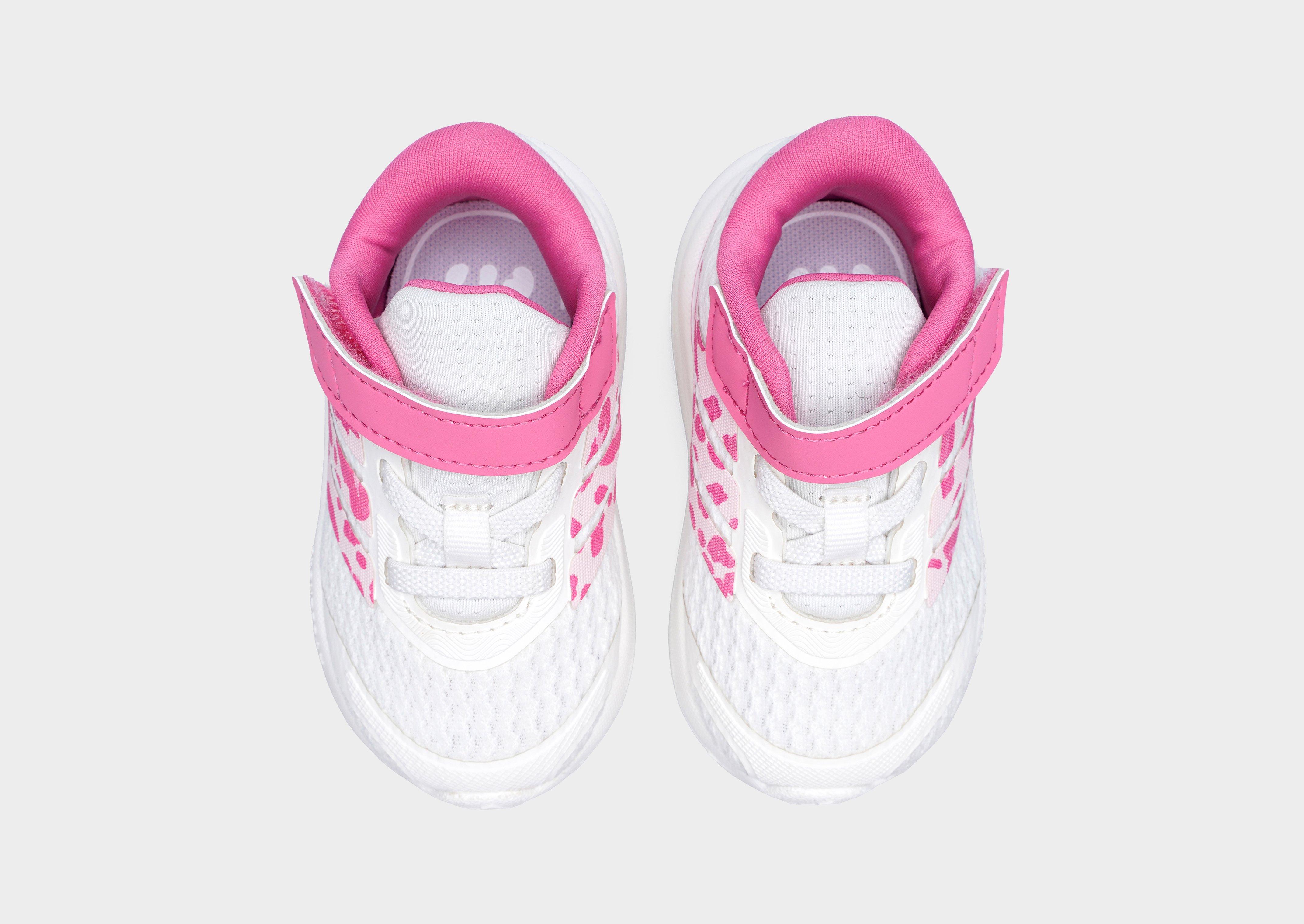 adidas Zapatilla Runfalcon 6