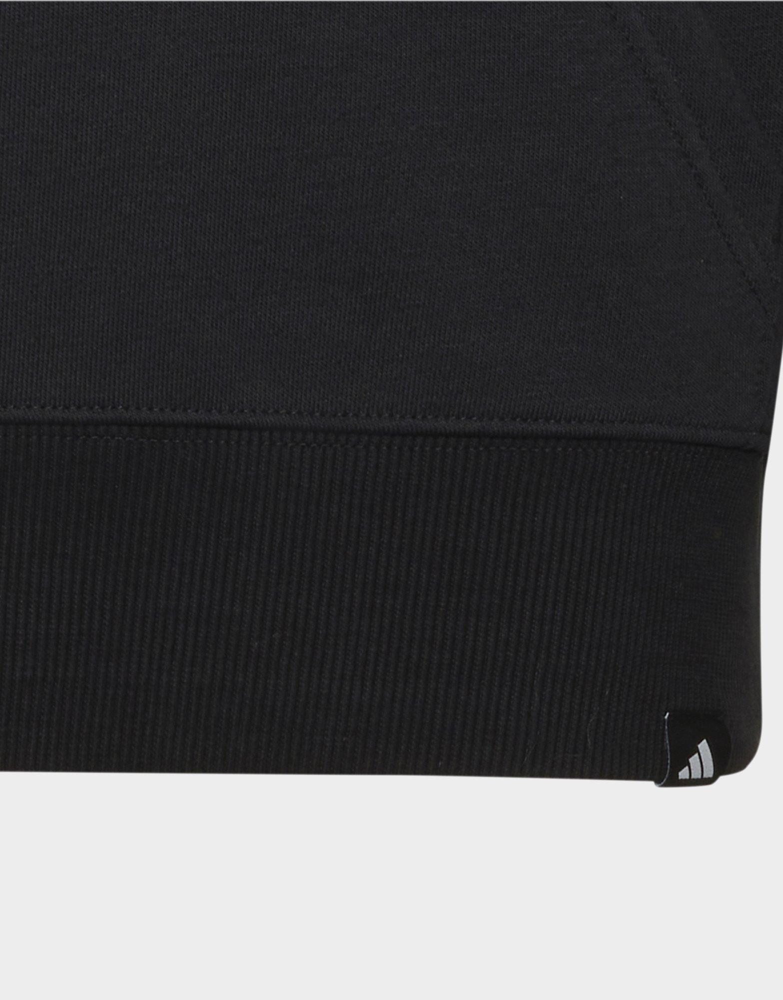 adidas AUDI REVOLUT F1 TEAM GABRIEL BORTOLETO GRAPHIC II HOODIE