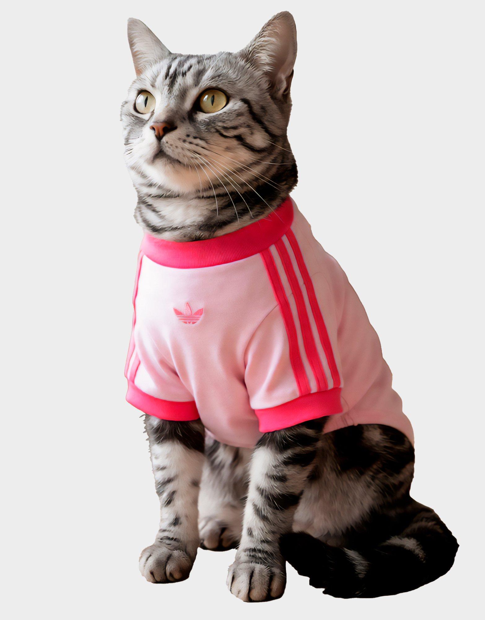 adidas Pet Cali Tee