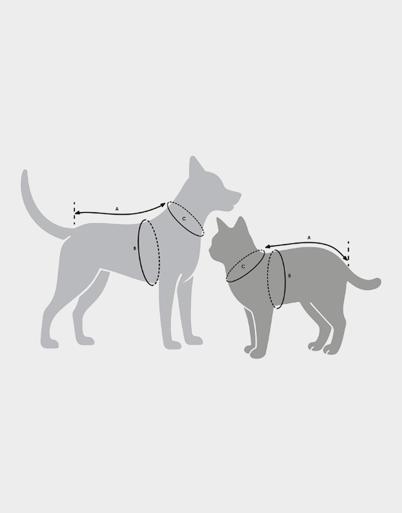 adidas Pet Cali Tee