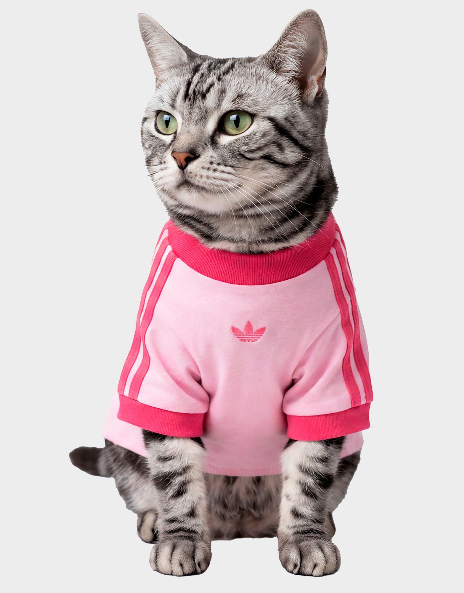 adidas Pet Cali Tee