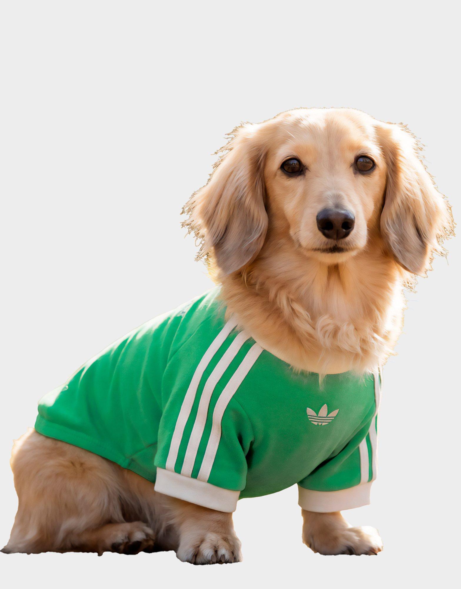 adidas Pet Cali Tee