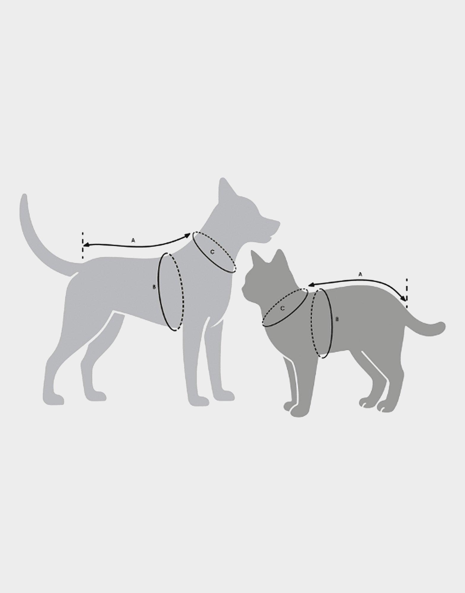 adidas Pet Cali Tee