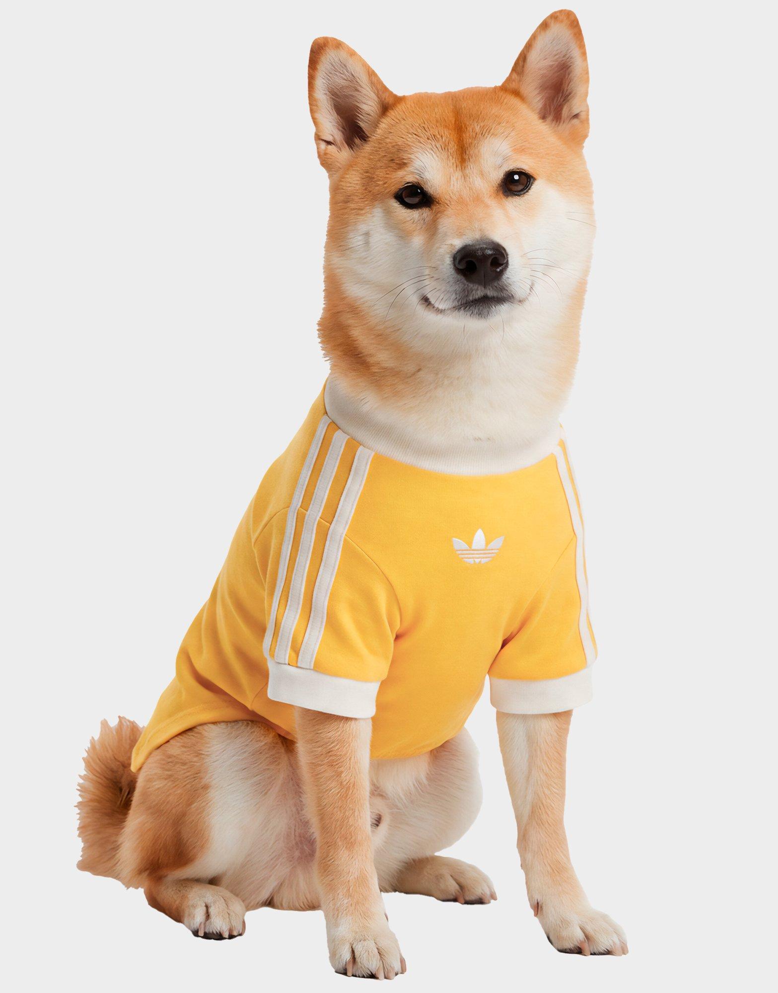 adidas Pet Cali Tee