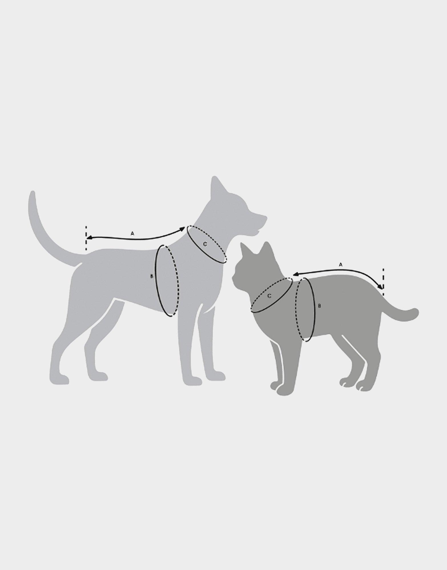 adidas Pet Cali Tee