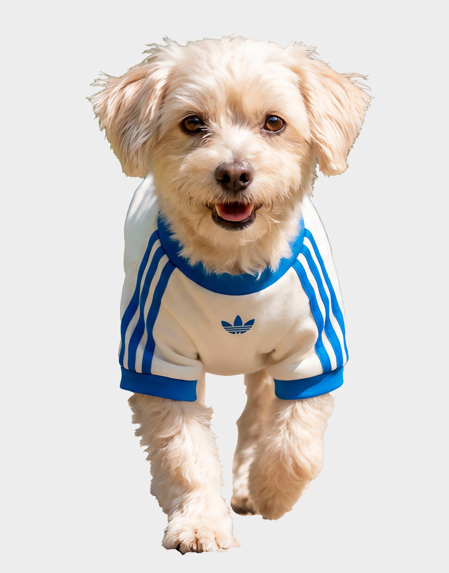 adidas Pet Cali Tee
