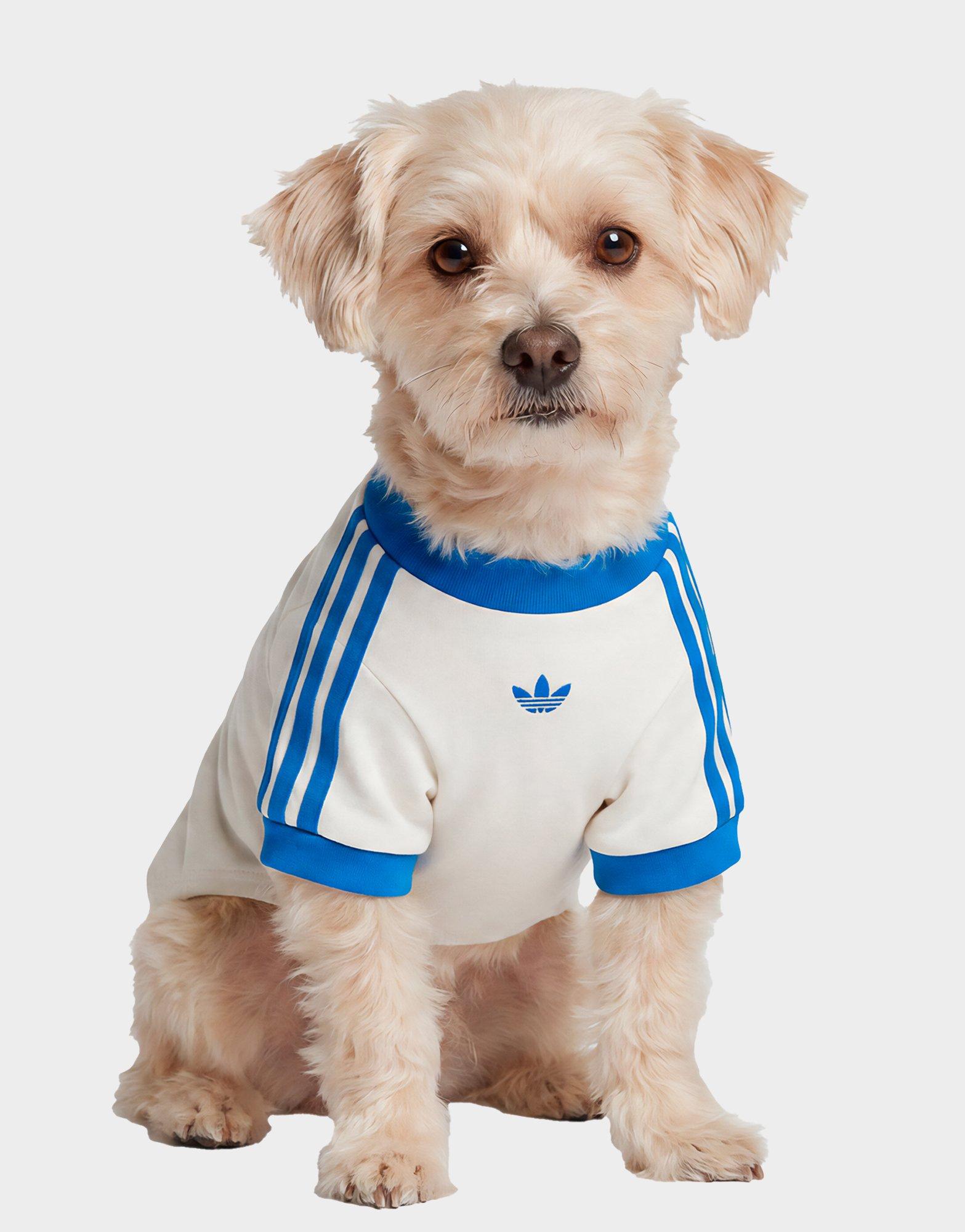 adidas Pet Cali Tee