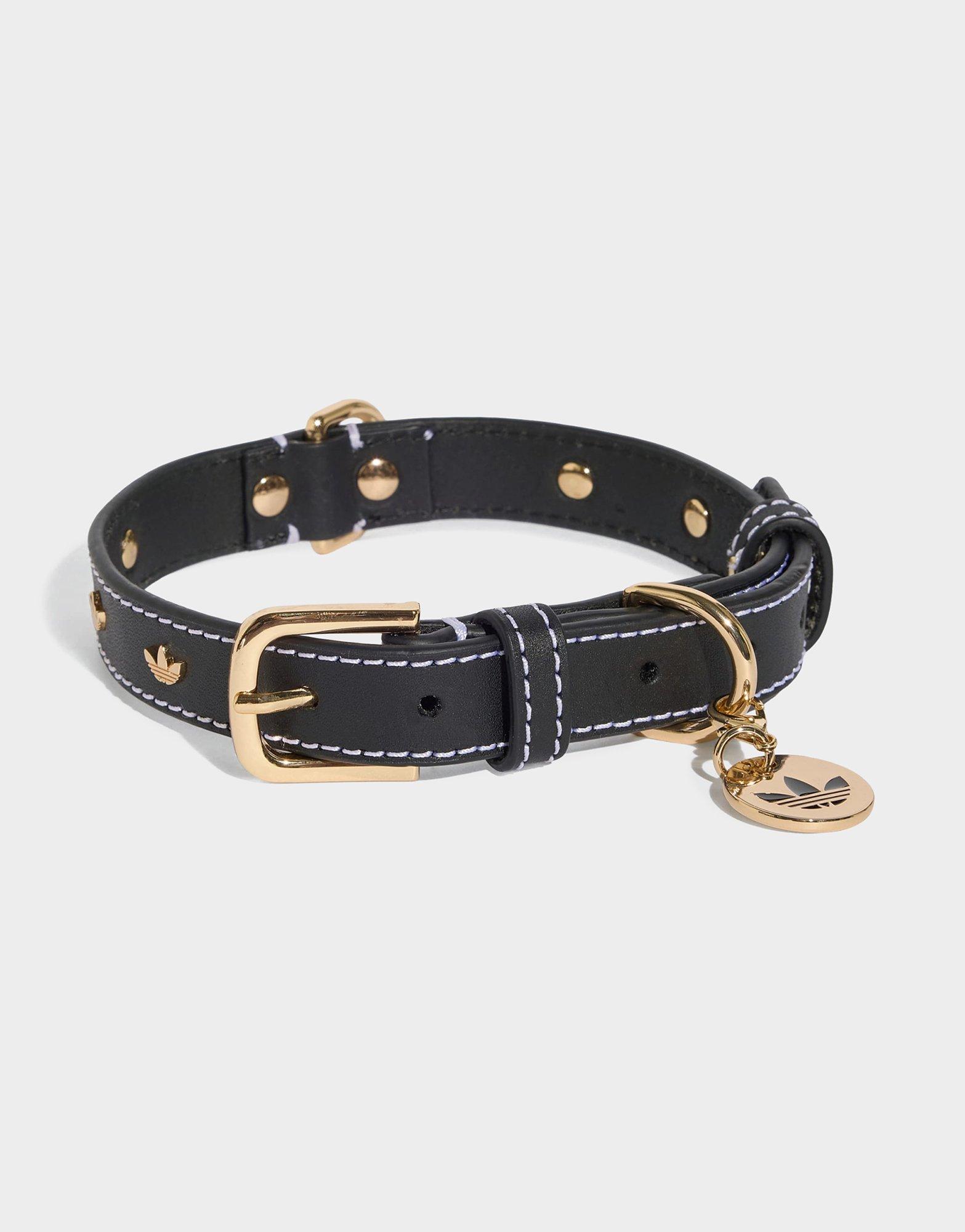adidas Pet Collar