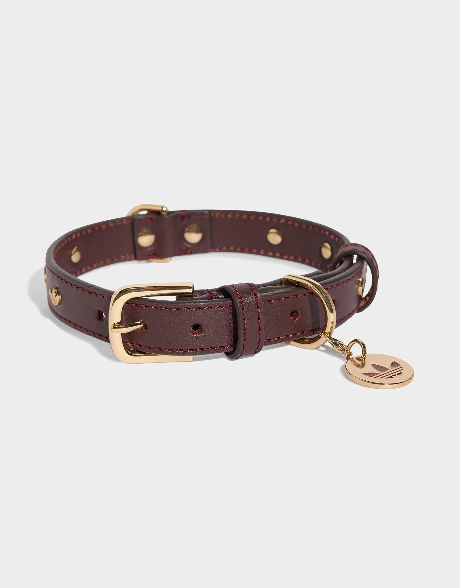 adidas Pet Collar