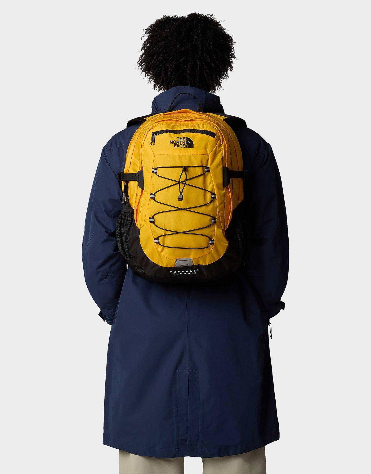 The North Face Borealis Classic Backpack