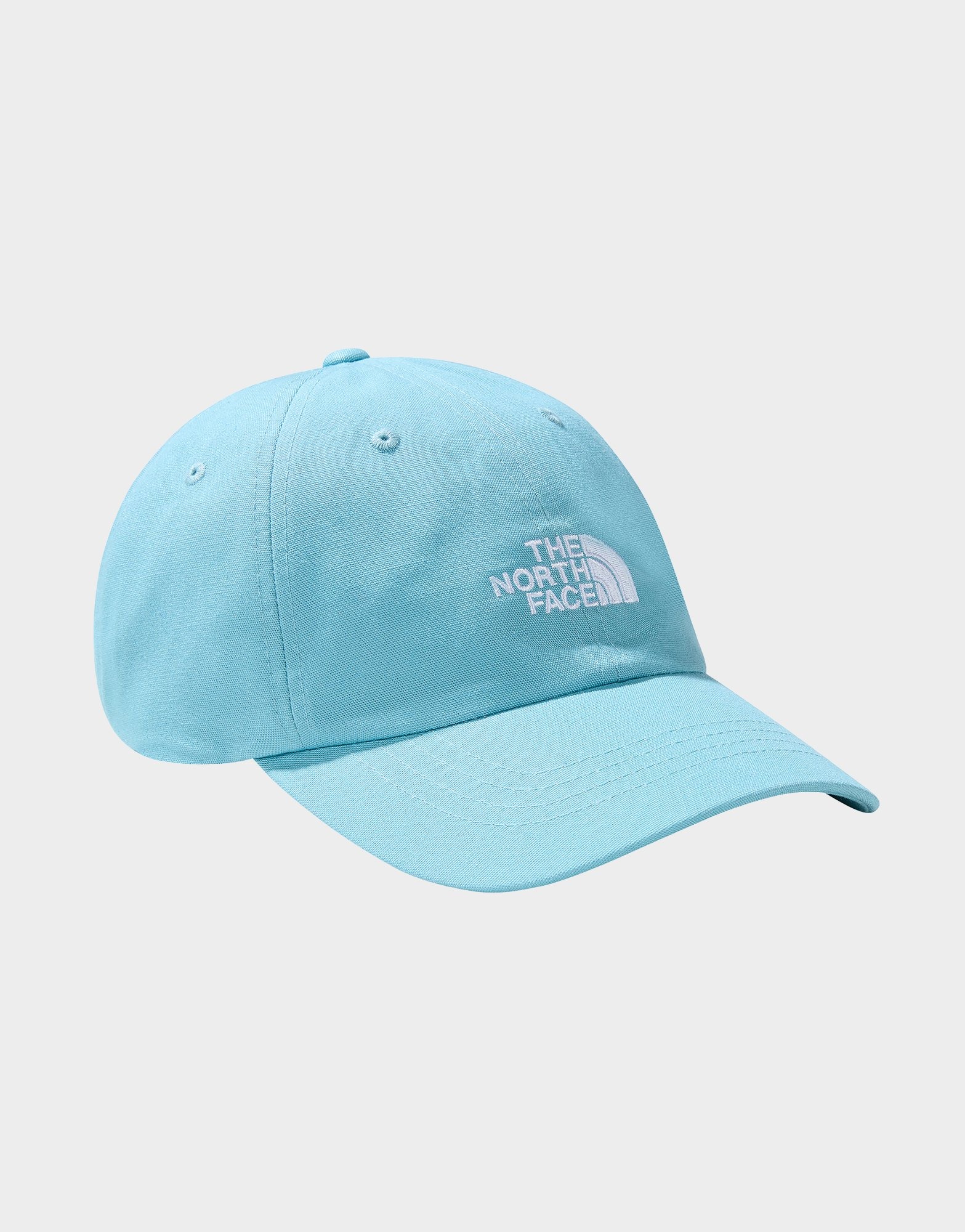 Blue The North Face Norm Cap | JD Sports UK