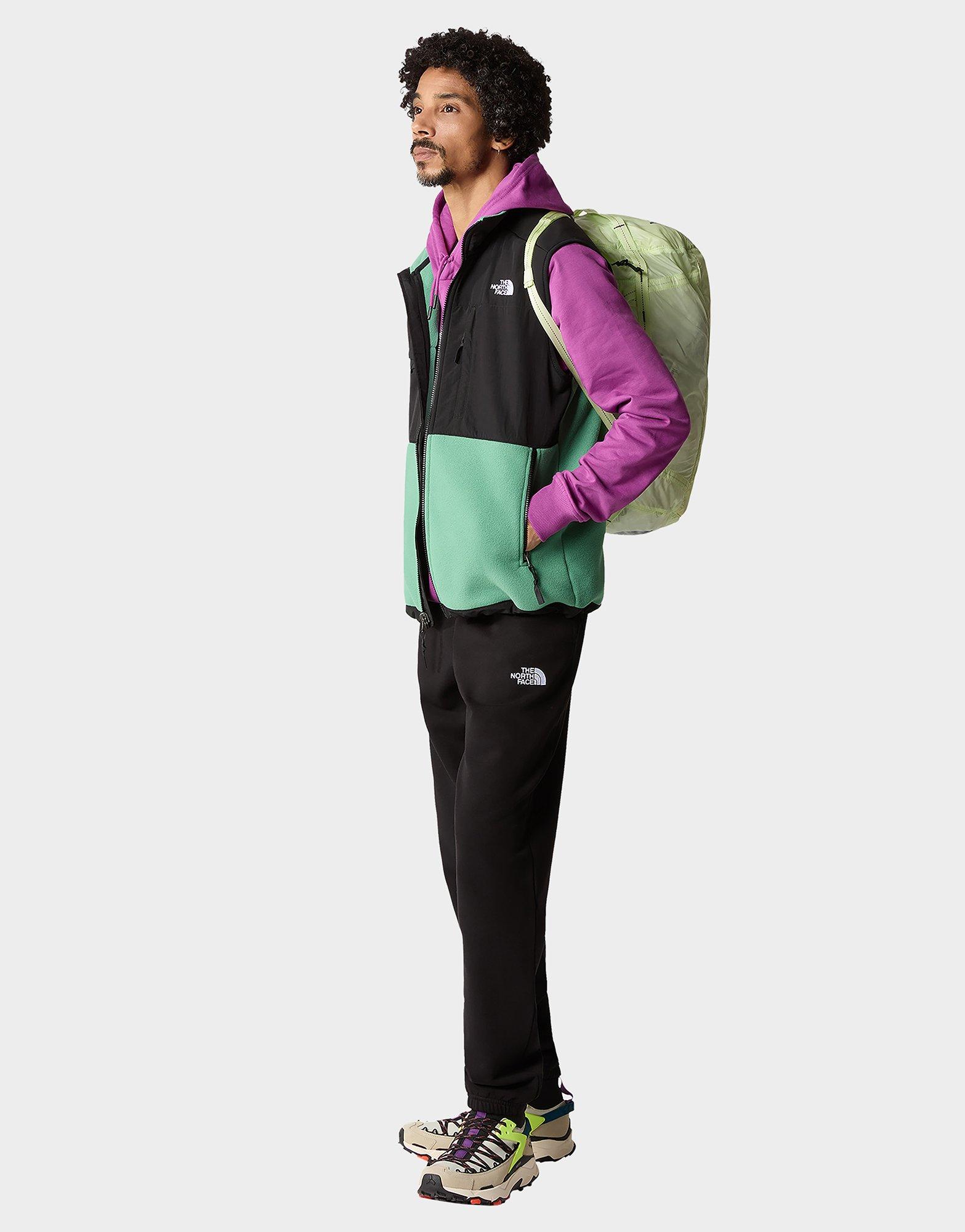 The North Face DENALI VEST