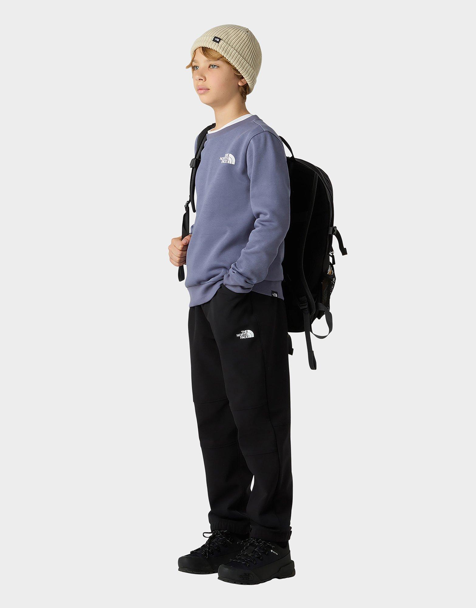 The North Face Simple Dome Crew Sweatshirt Junior