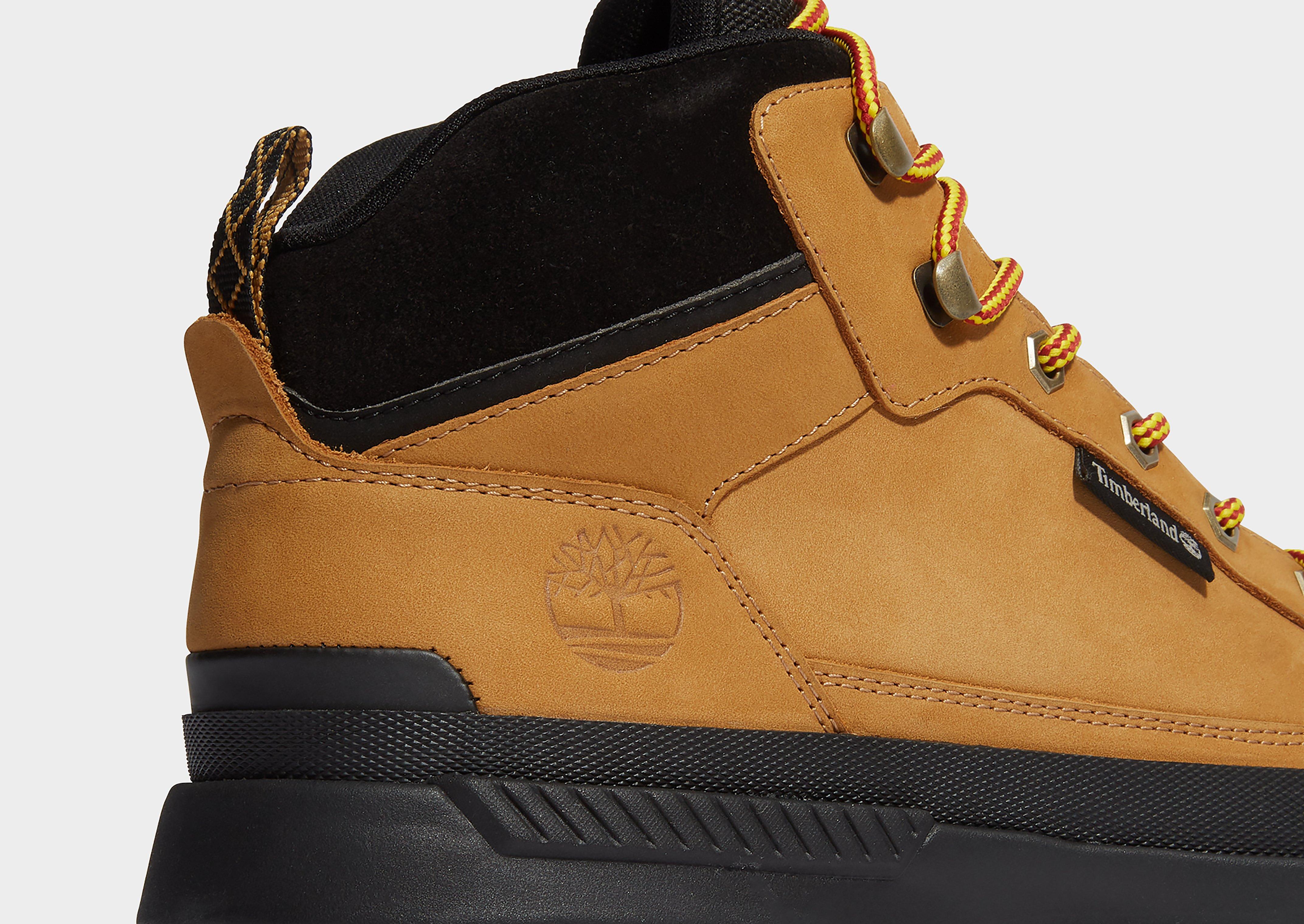 Timberland Field Trekker Mid Trainer