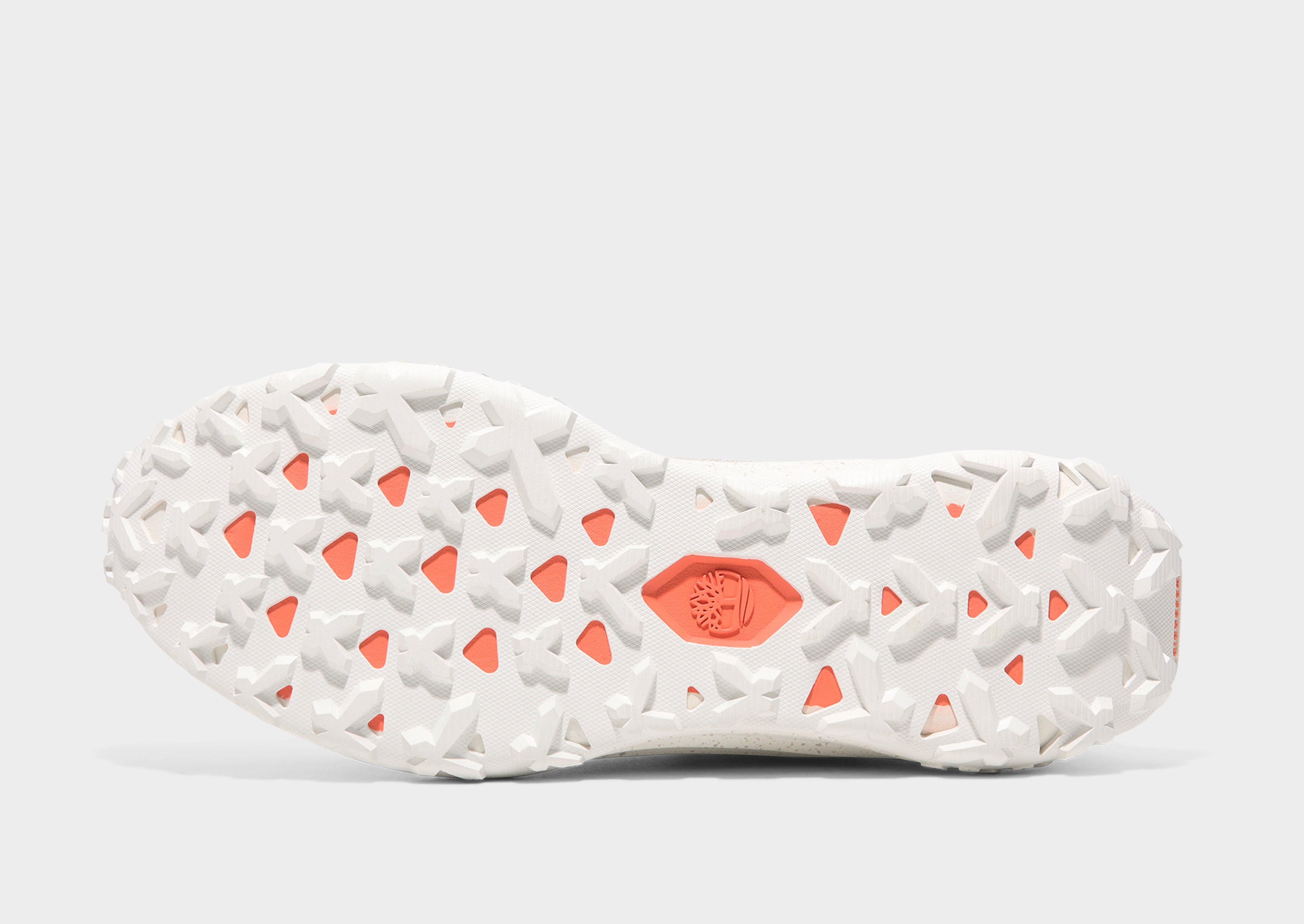 Timberland Low Lace Up Sneaker