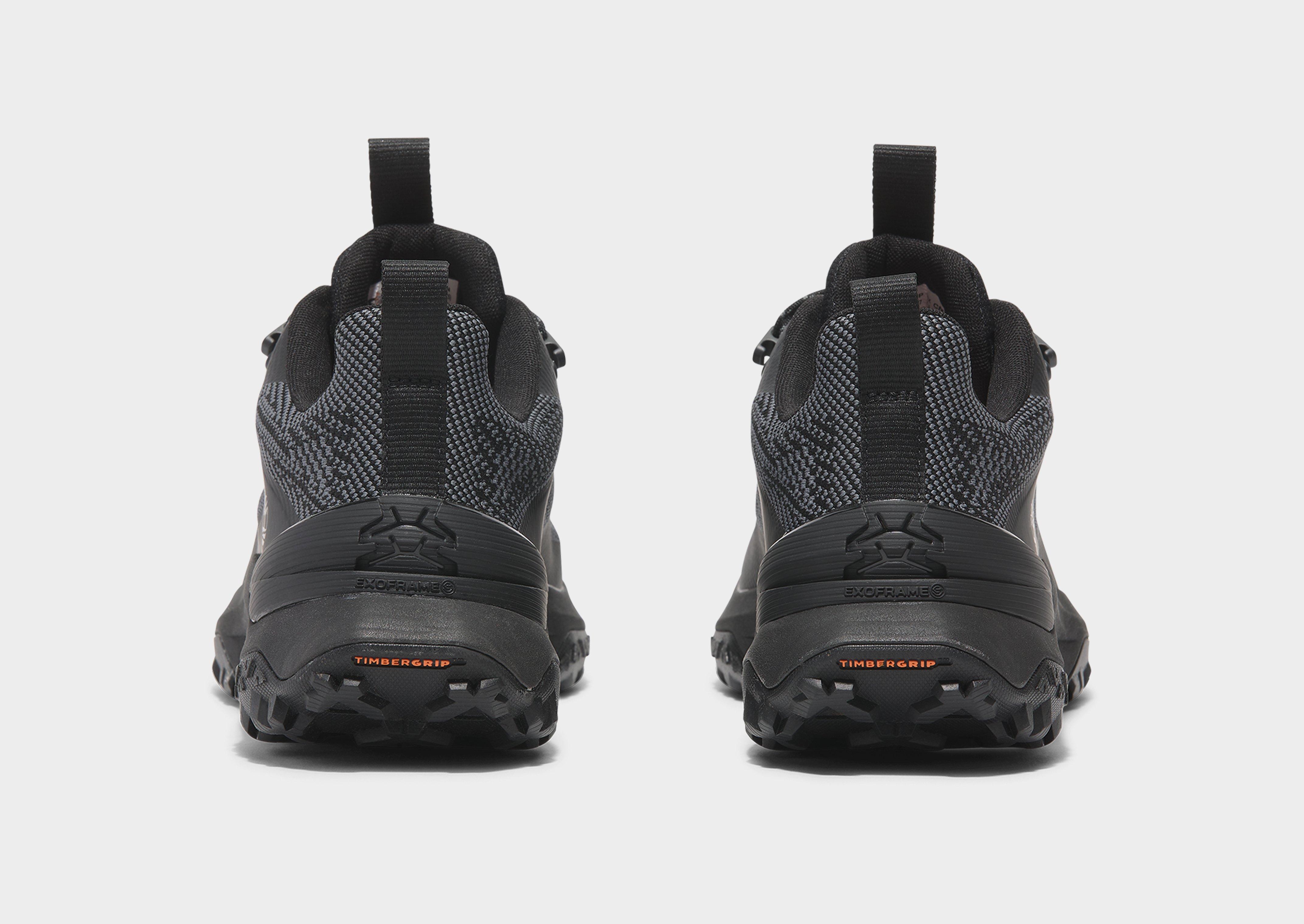 Timberland Low Lace Up Sneaker