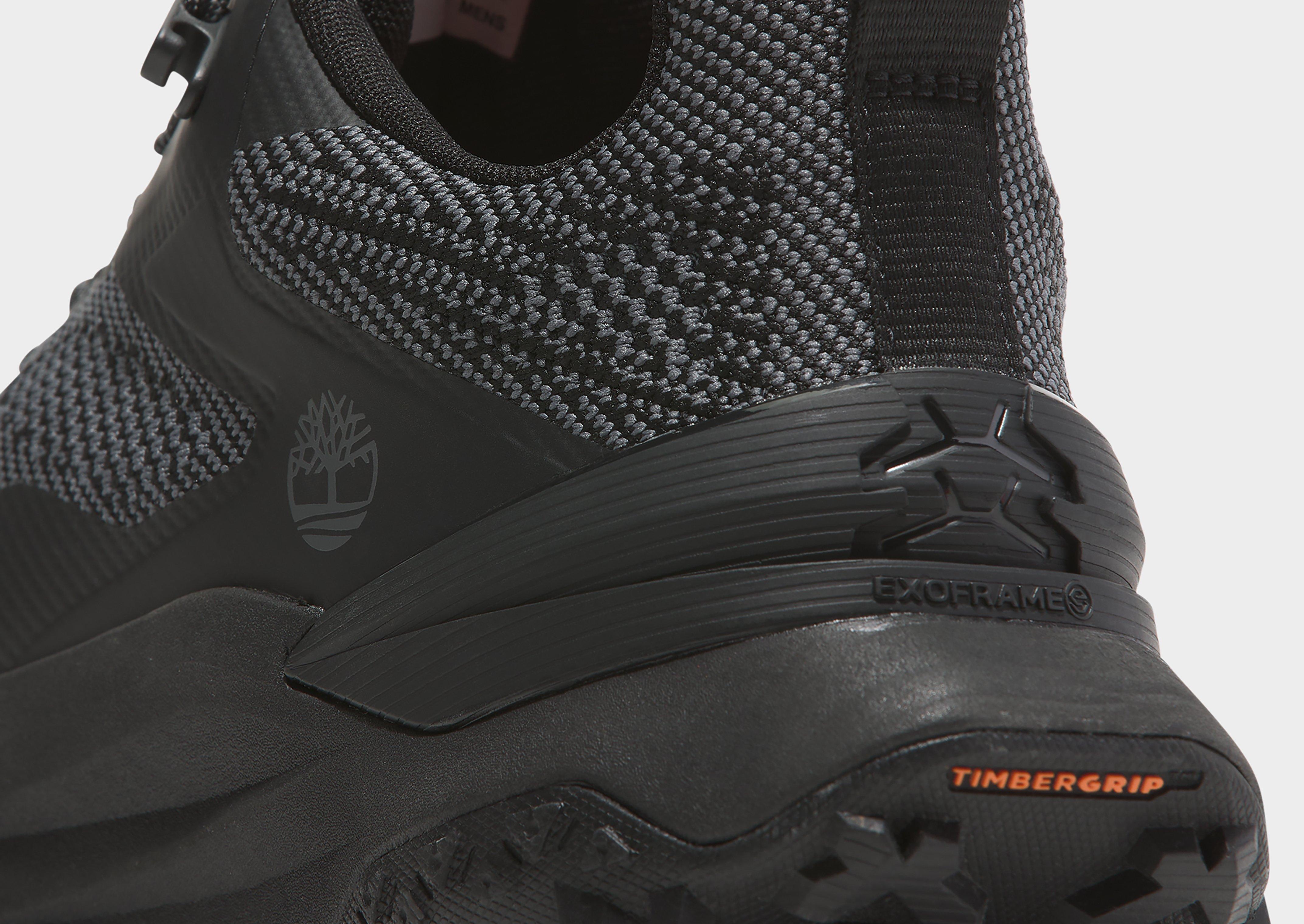 Timberland Low Lace Up Sneaker