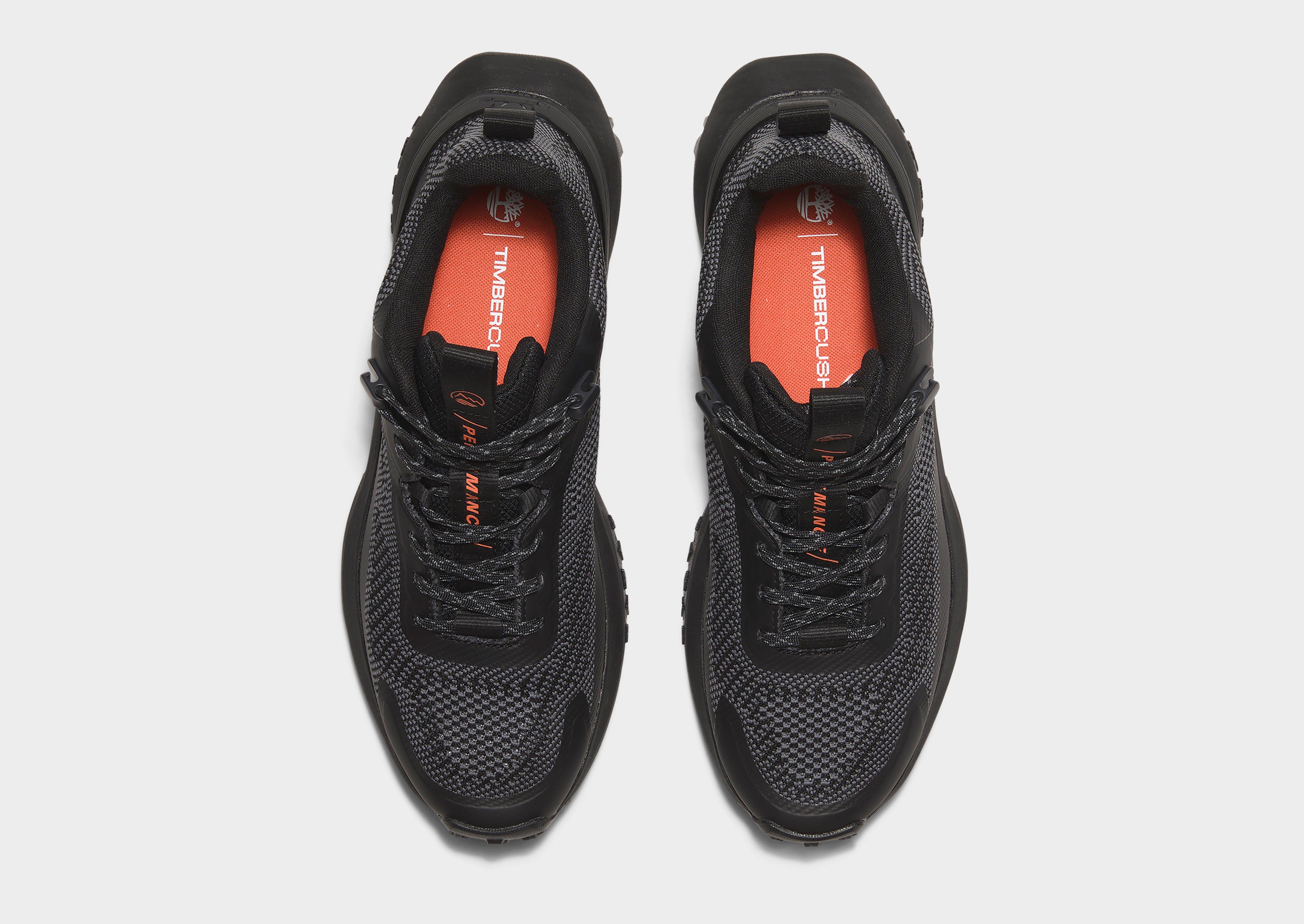 Timberland Low Lace Up Sneaker