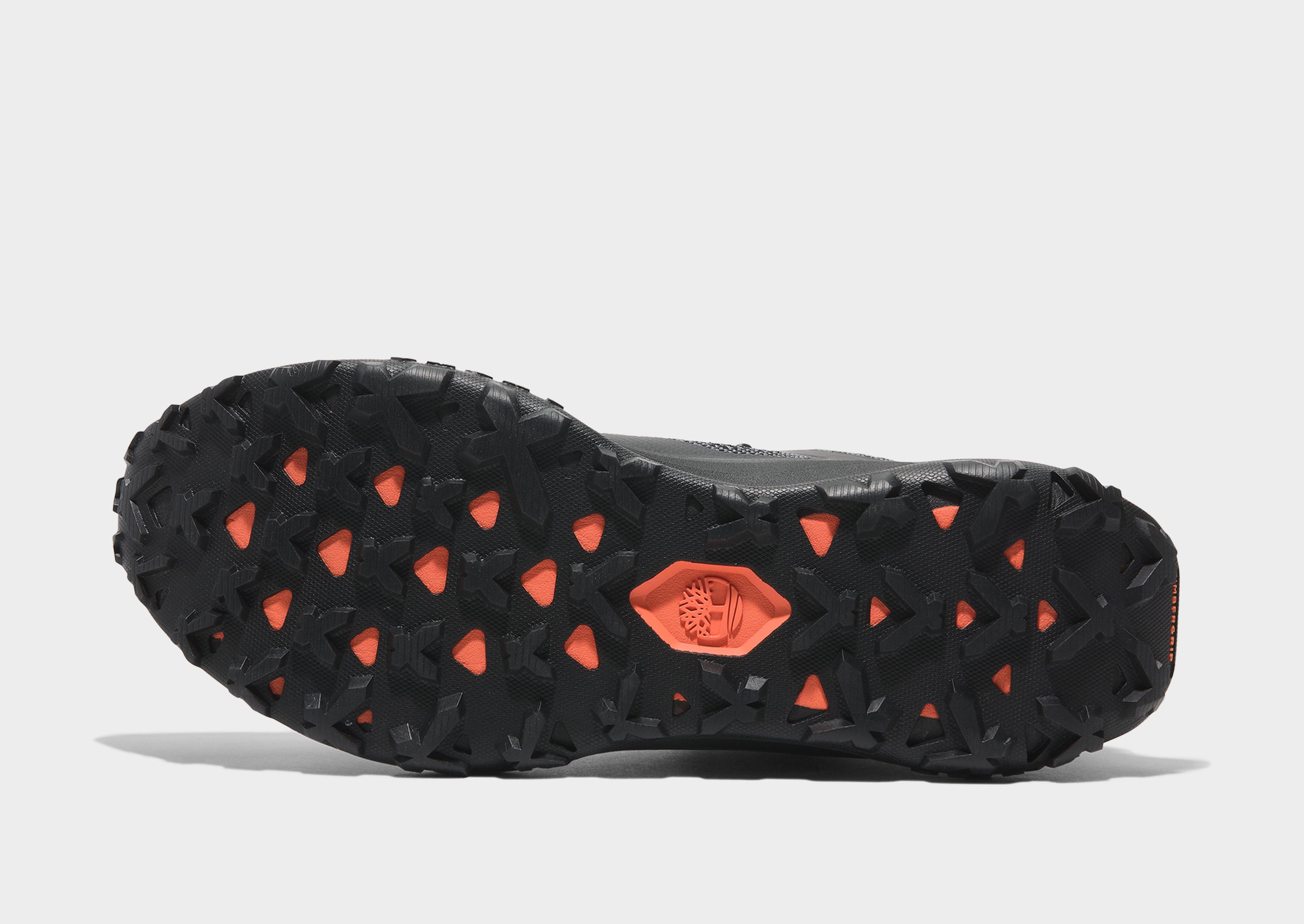 Timberland Low Lace Up Sneaker