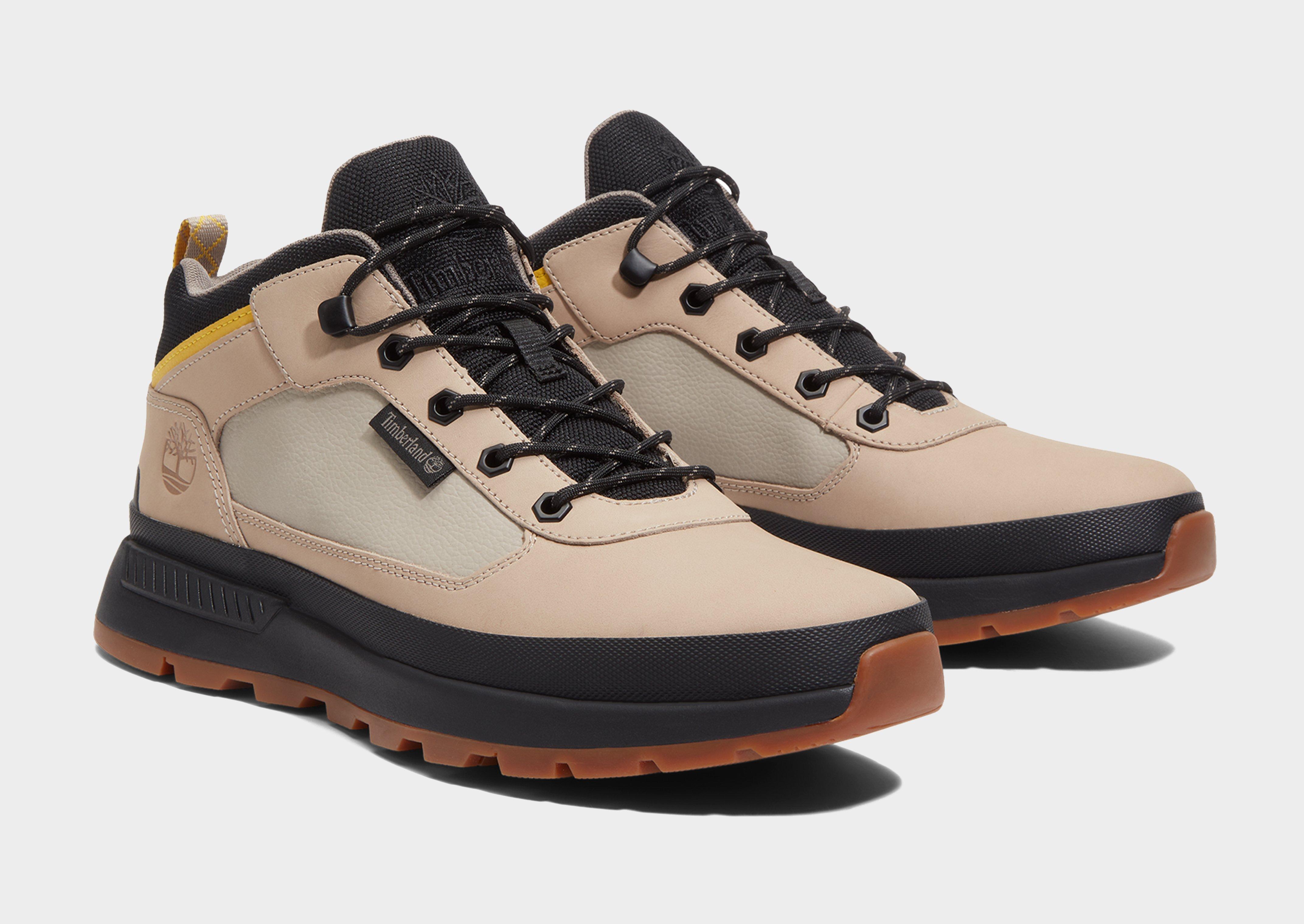 Timberland Field Trekker Low Lace Up Sneaker