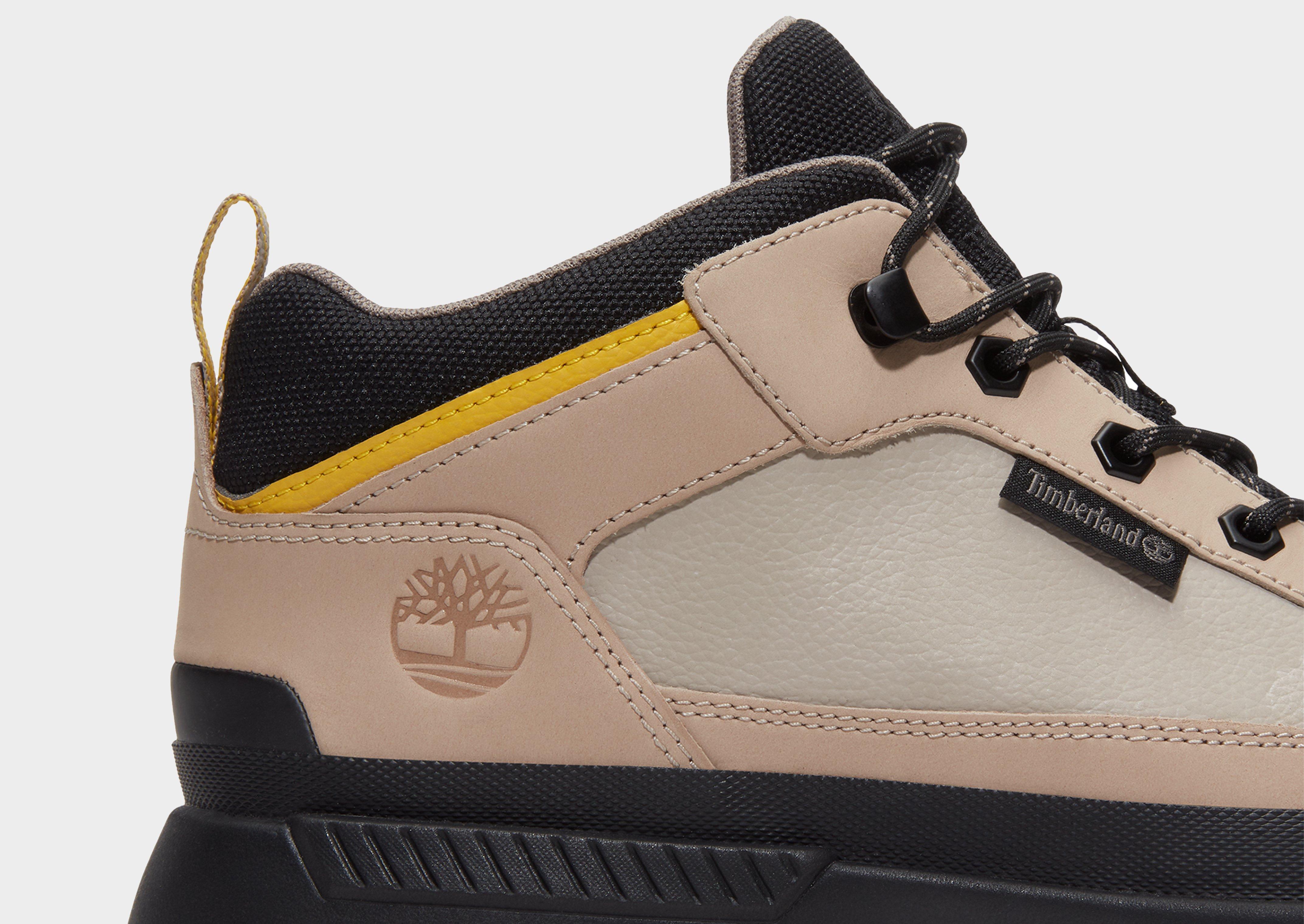 Timberland Field Trekker Low Lace Up Sneaker